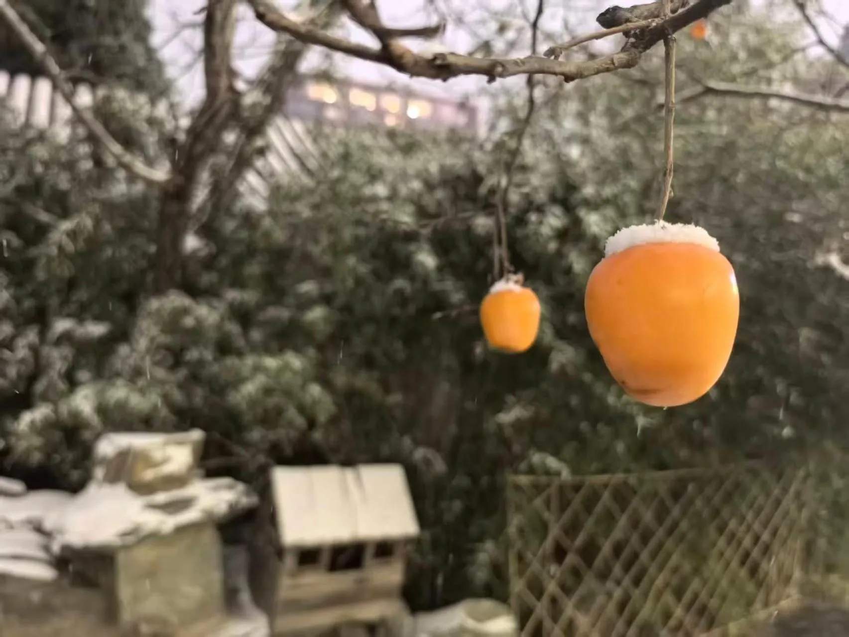 Beijing Jingyuan Courtyard Hotel