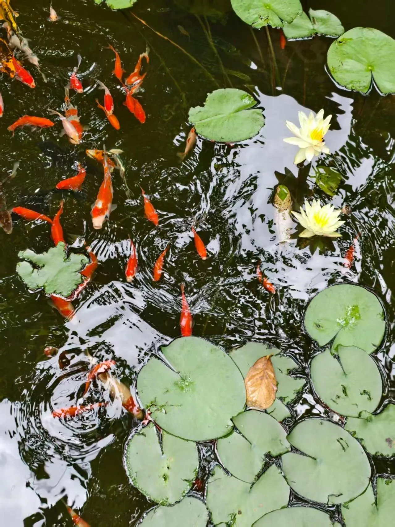 Beijing Jingyuan Courtyard Hotel