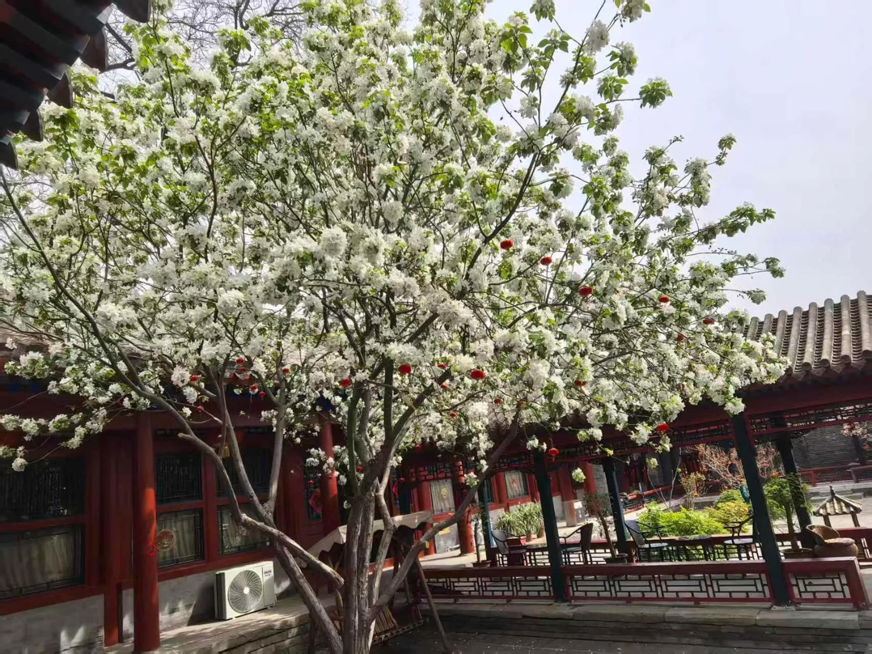 Beijing Jingyuan Courtyard Hotel