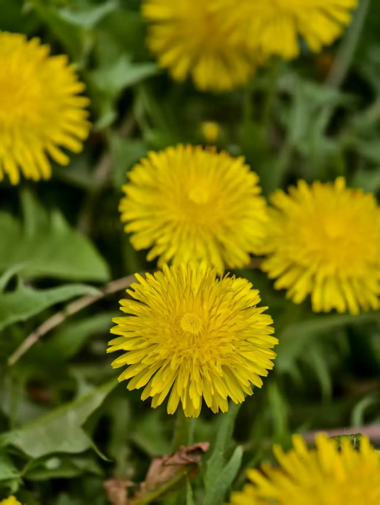 Beijing Jingyuan Courtyard Hotel