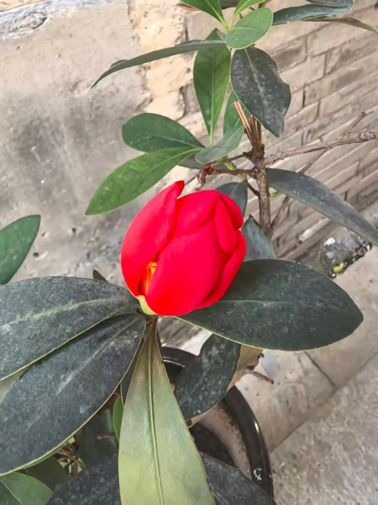 Beijing Jingyuan Courtyard Hotel