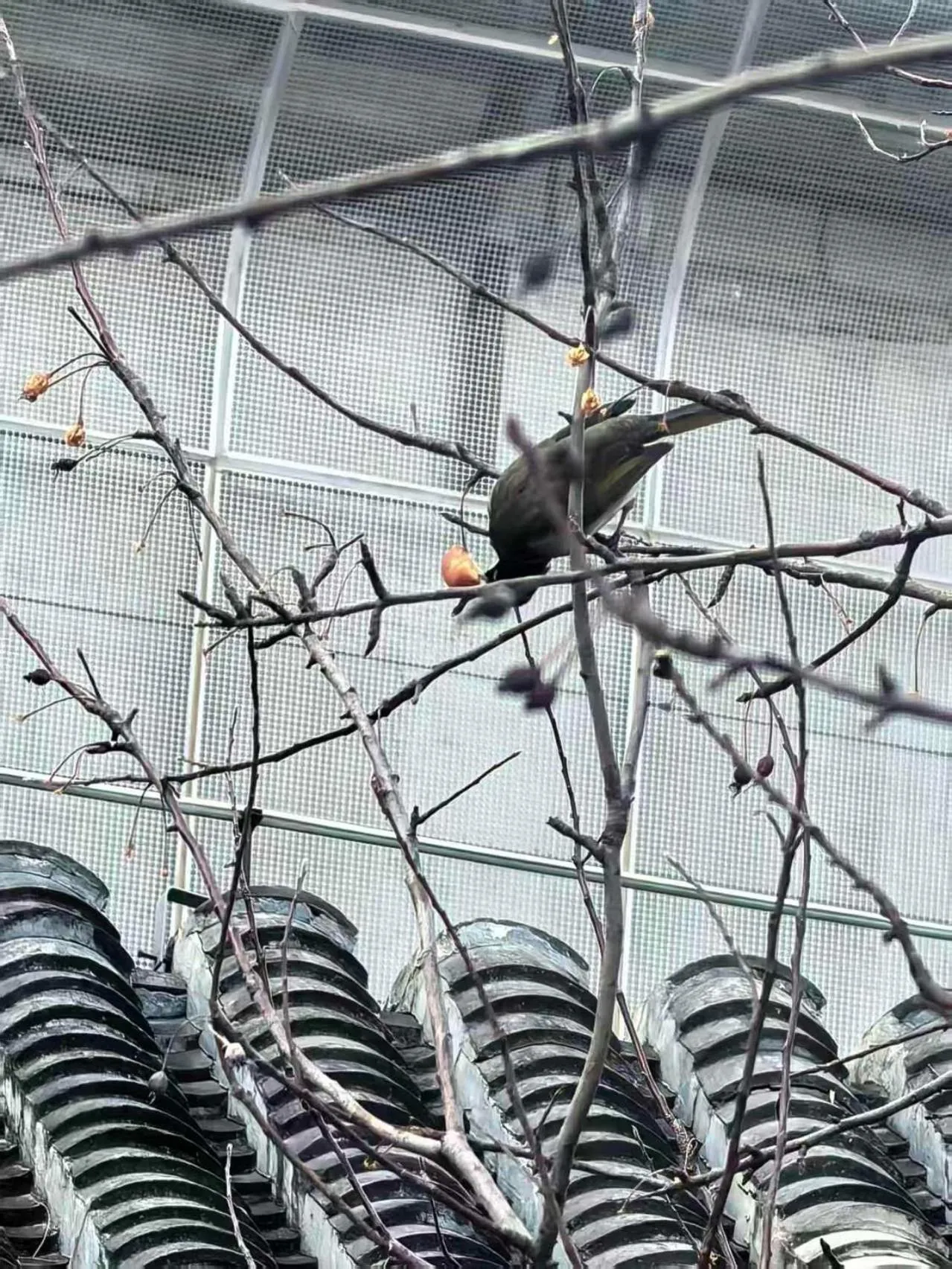 Beijing Jingyuan Courtyard Hotel