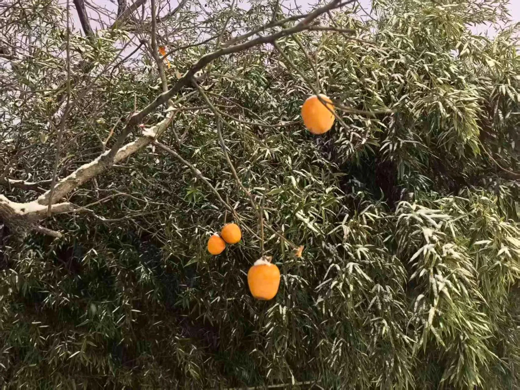 Beijing Jingyuan Courtyard Hotel