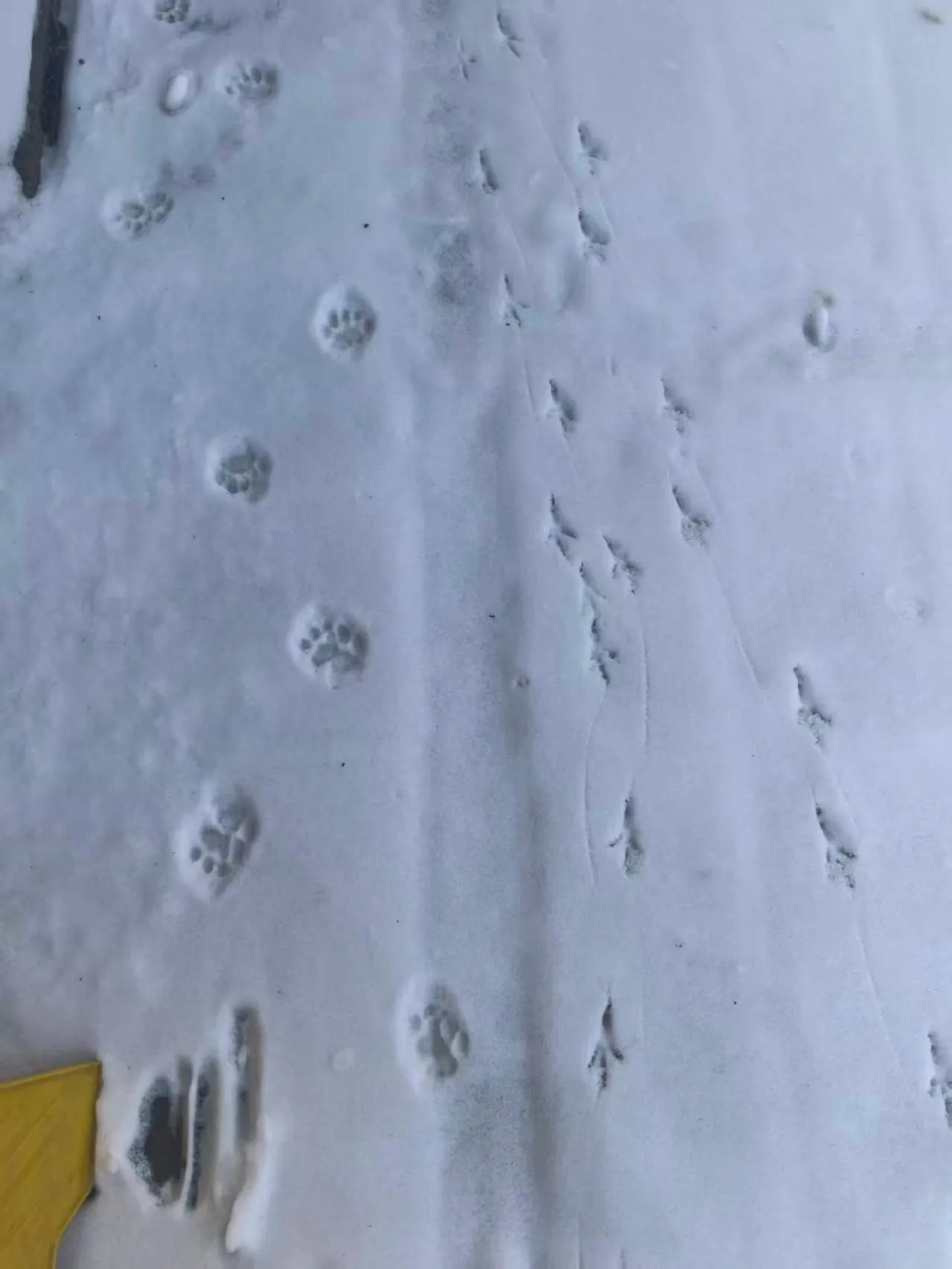 Beijing Jingyuan Courtyard Hotel