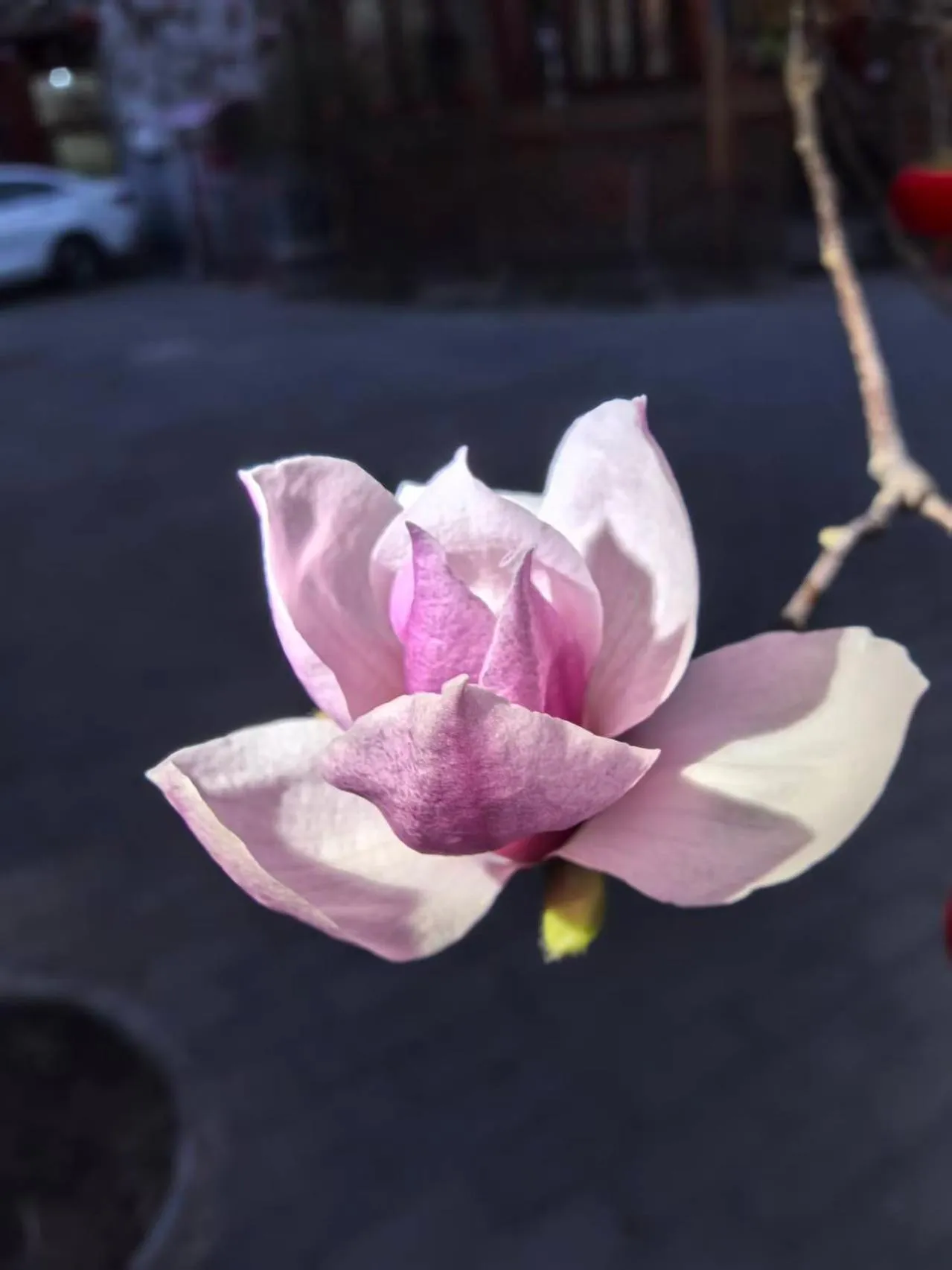 Beijing Jingyuan Courtyard Hotel