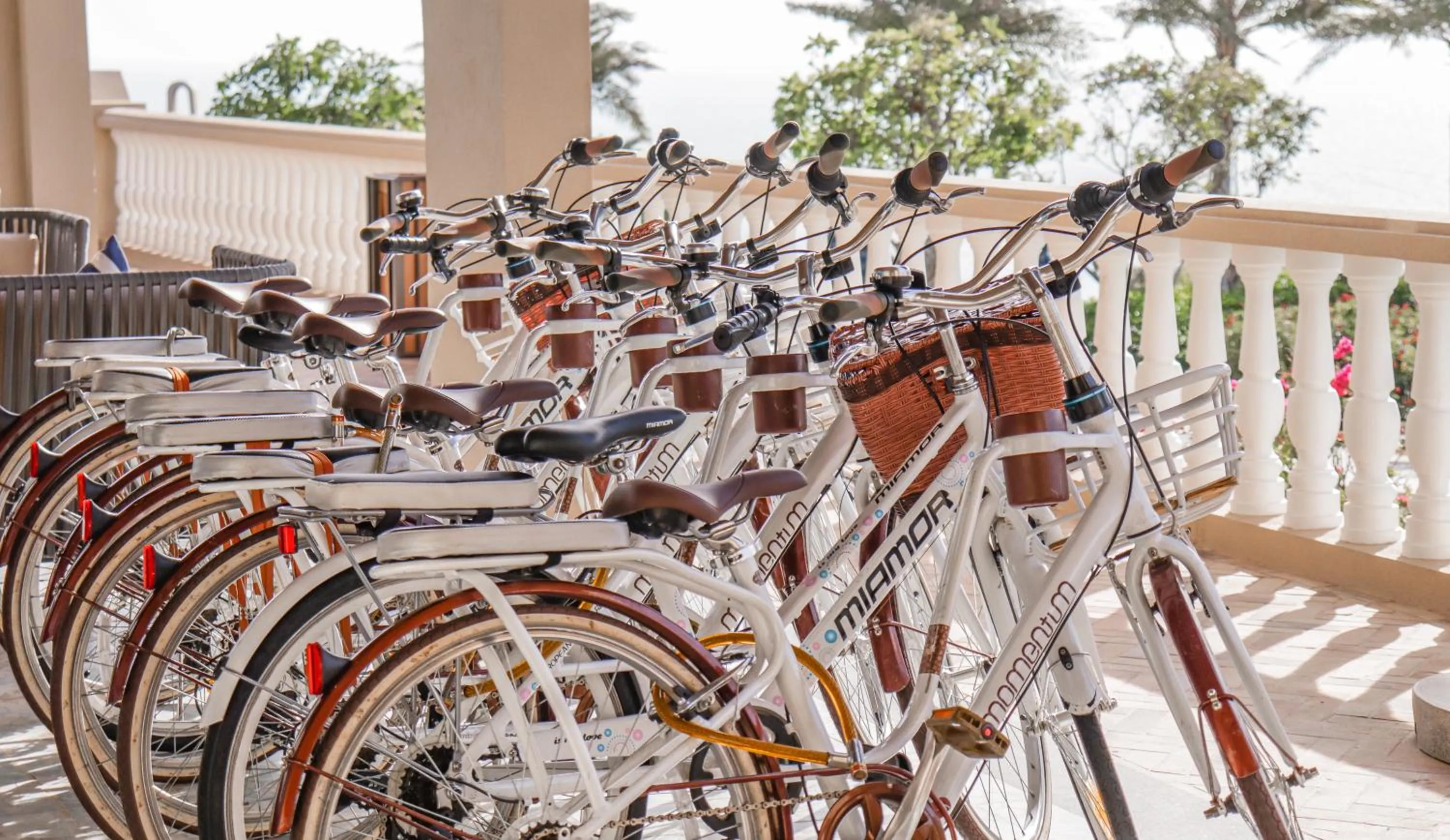 Activities in Centara Mirage Resort Mui Ne