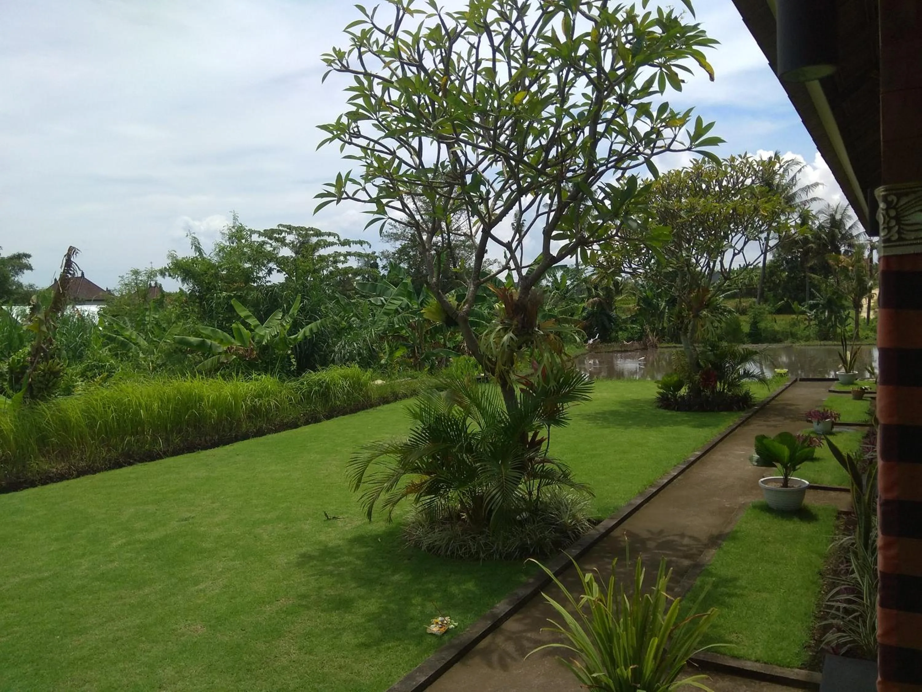 Garden view in Tamiu Guesthouse at Desa Wisata Keramas Near Keramas Surf Beach