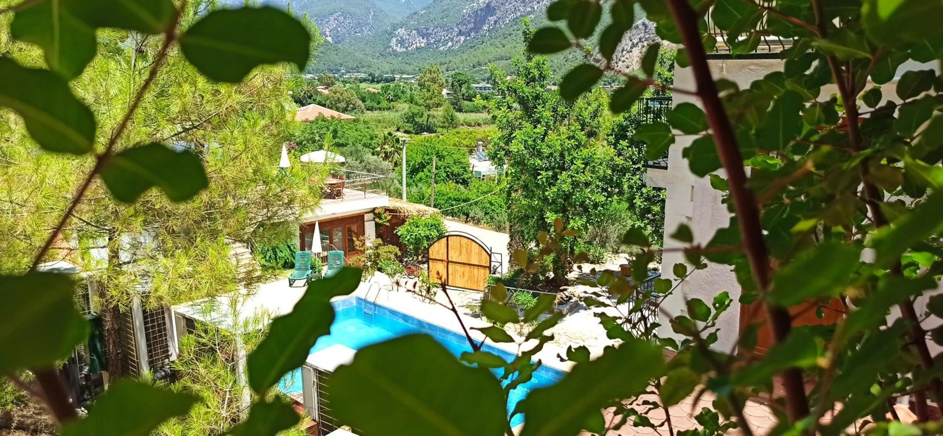 View (from property/room) in Swiss Eviniz Hotel