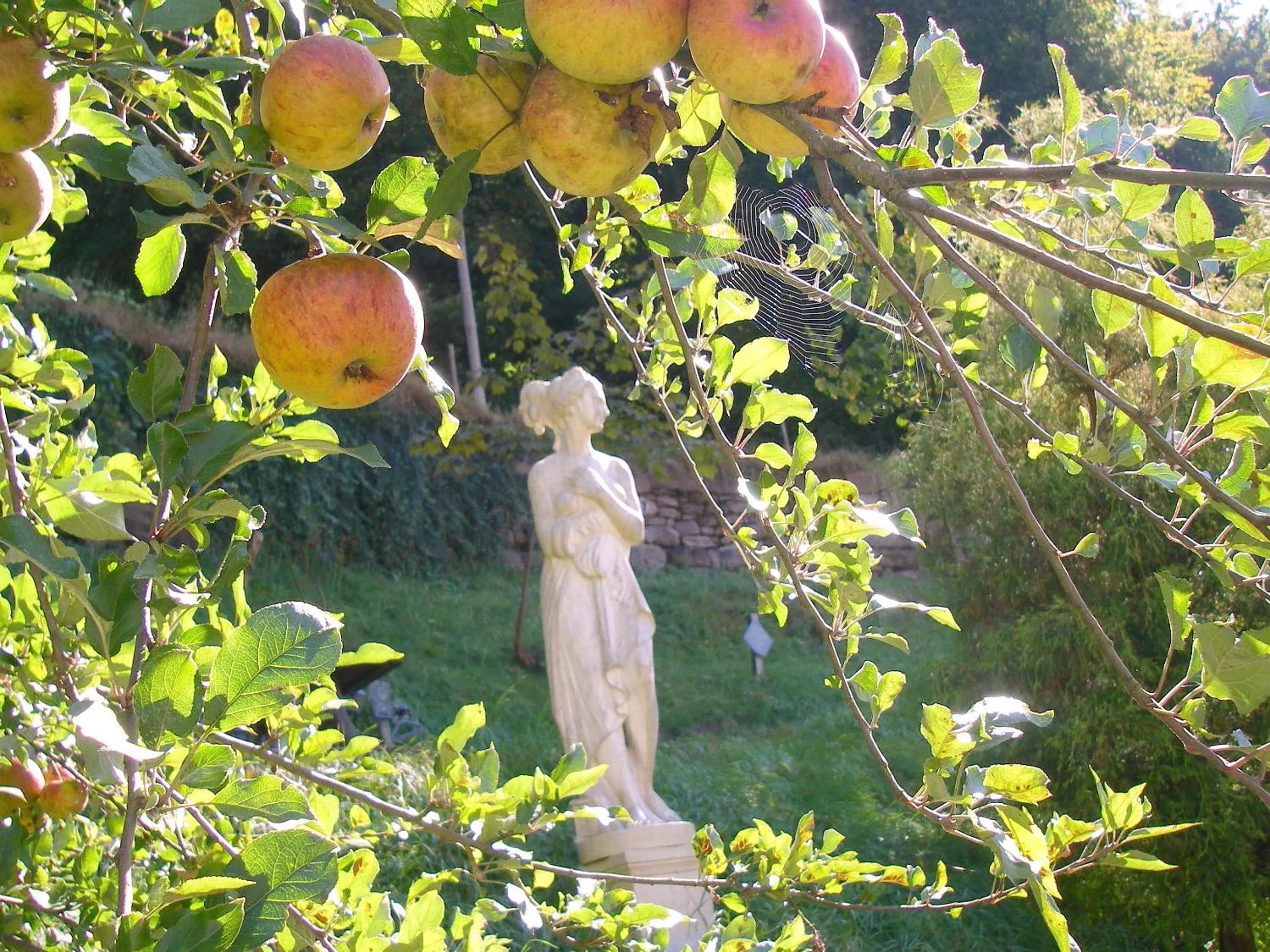 Garden in Hotel Weingärtner