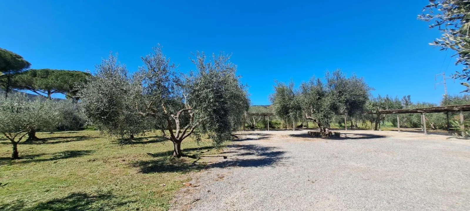 Parking in RESIDENCE TERME ISOLA D'ELBA SRL
