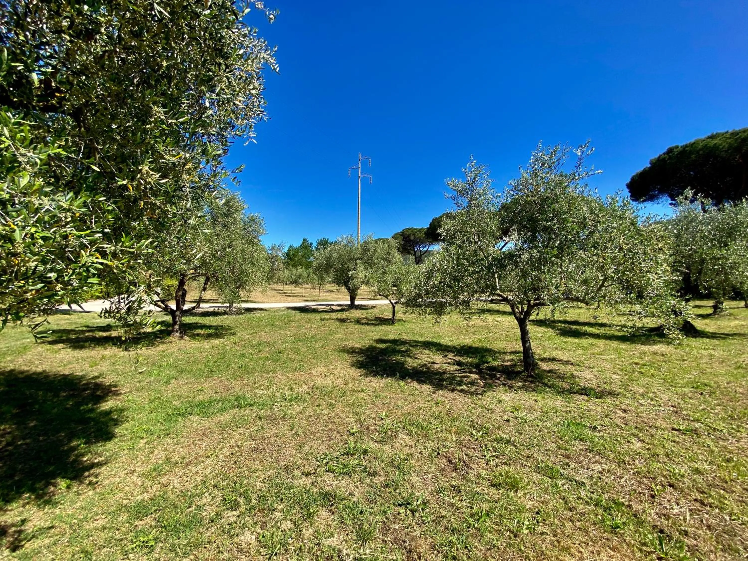 Natural landscape in RESIDENCE TERME ISOLA D'ELBA SRL
