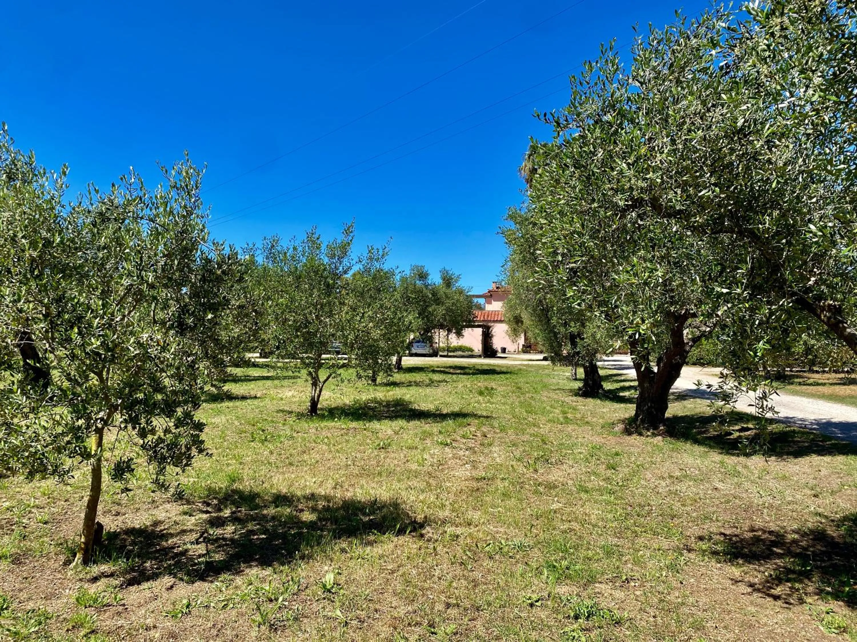 Garden in RESIDENCE TERME ISOLA D'ELBA SRL