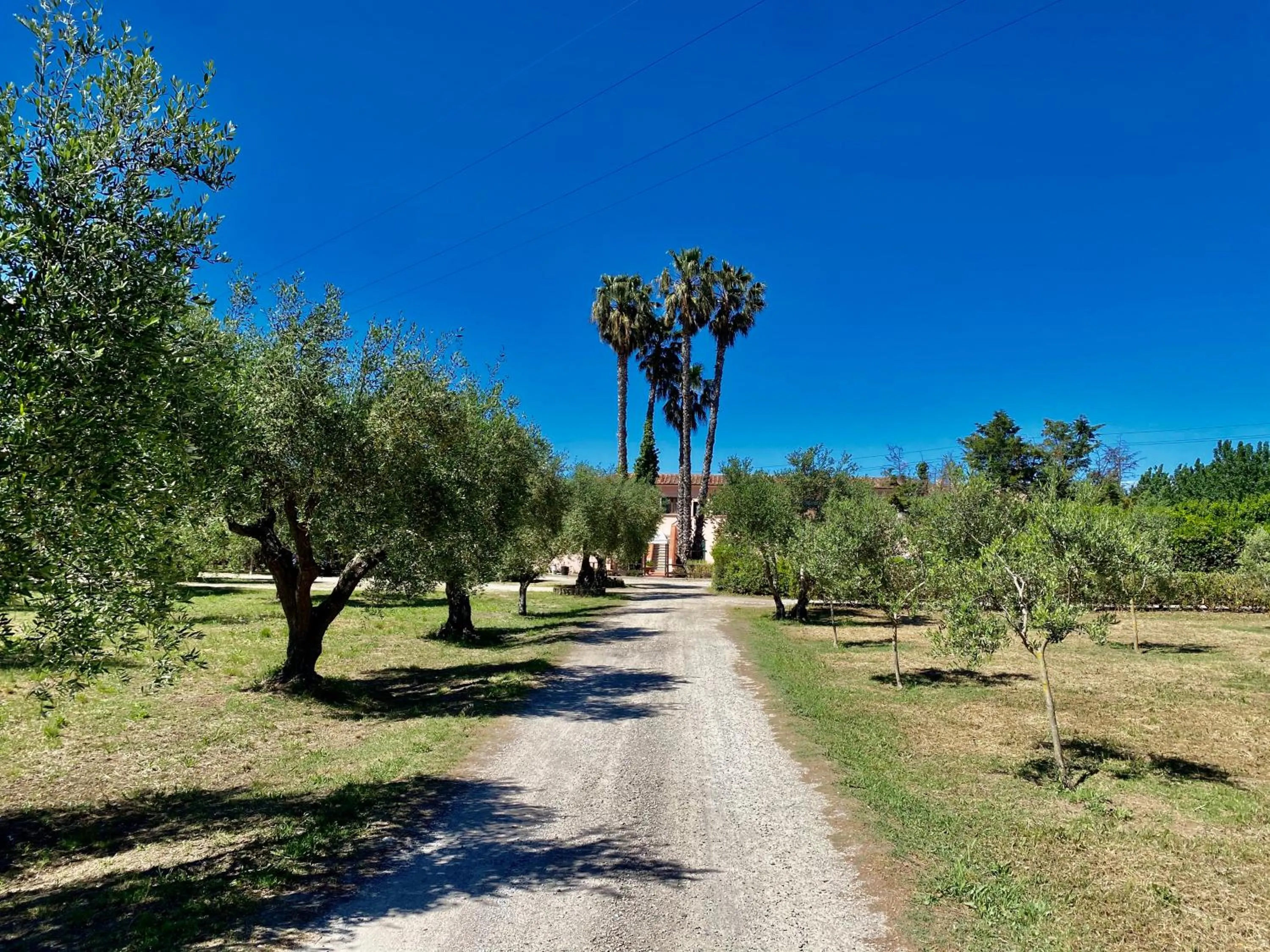 Garden in RESIDENCE TERME ISOLA D'ELBA SRL