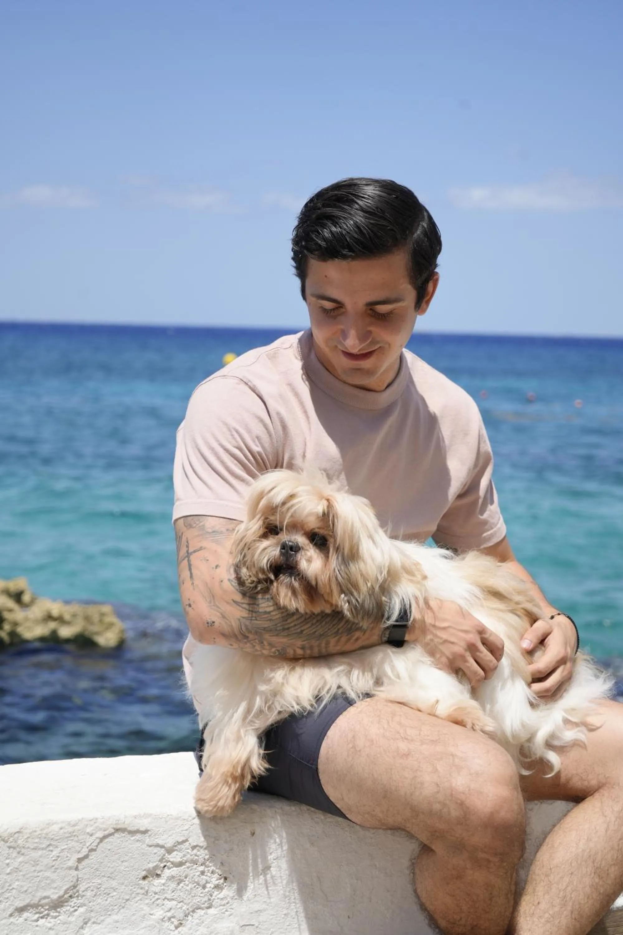 pet friendly in Cozumel Hotel & Resort All Inclusive