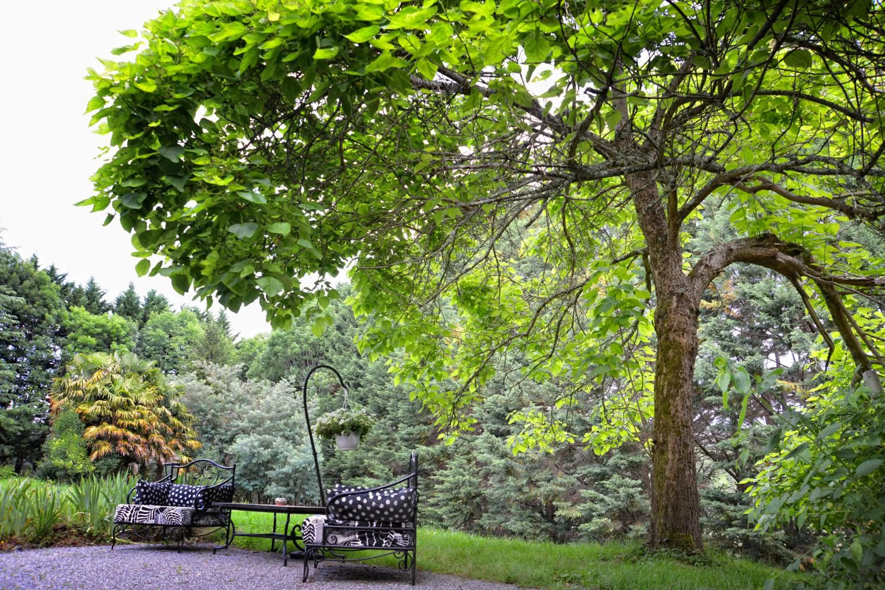Garden in Maison Matachot