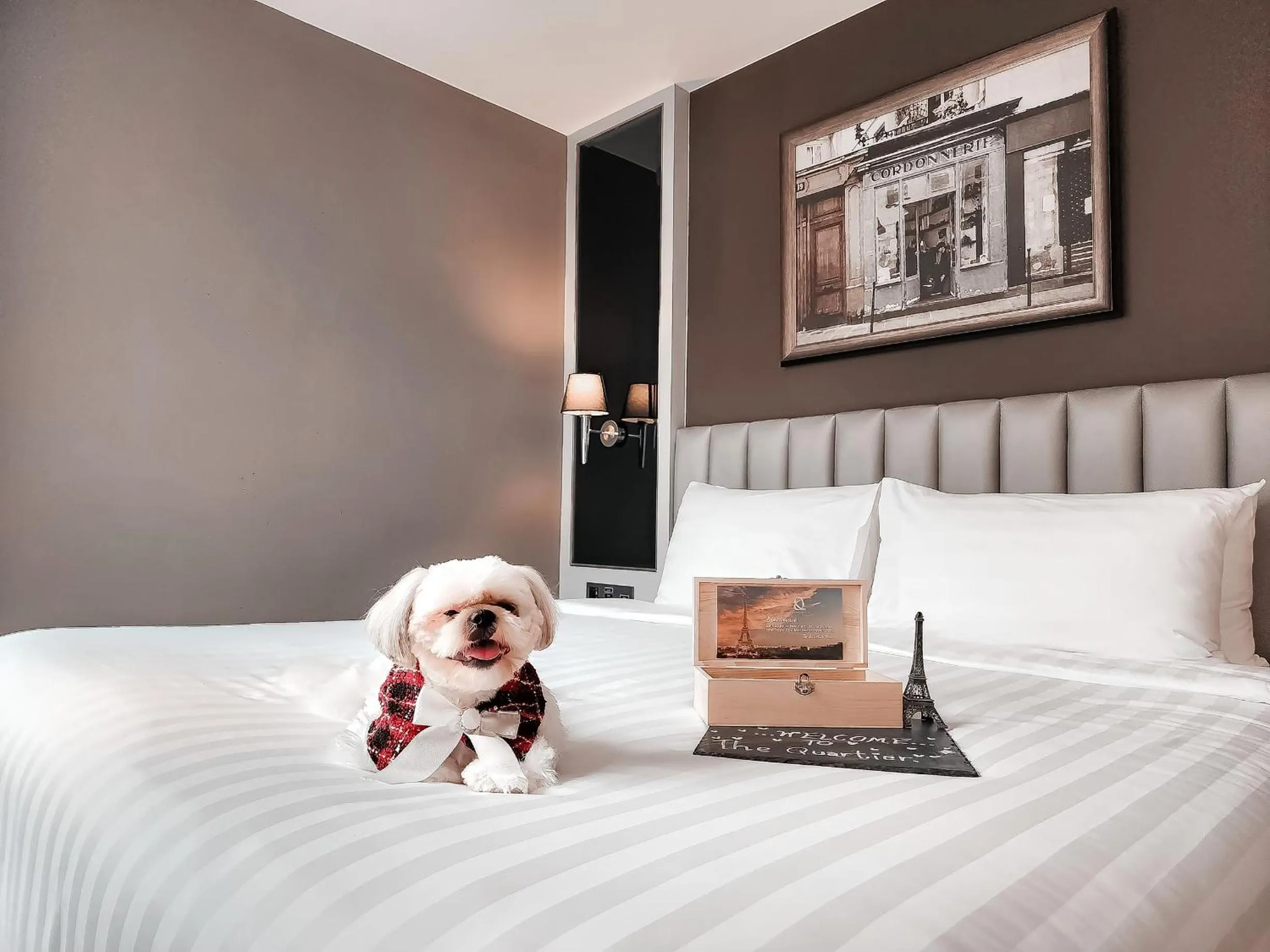 pet friendly, Bed in The Quartier Hotel Phromphong - Thonglor