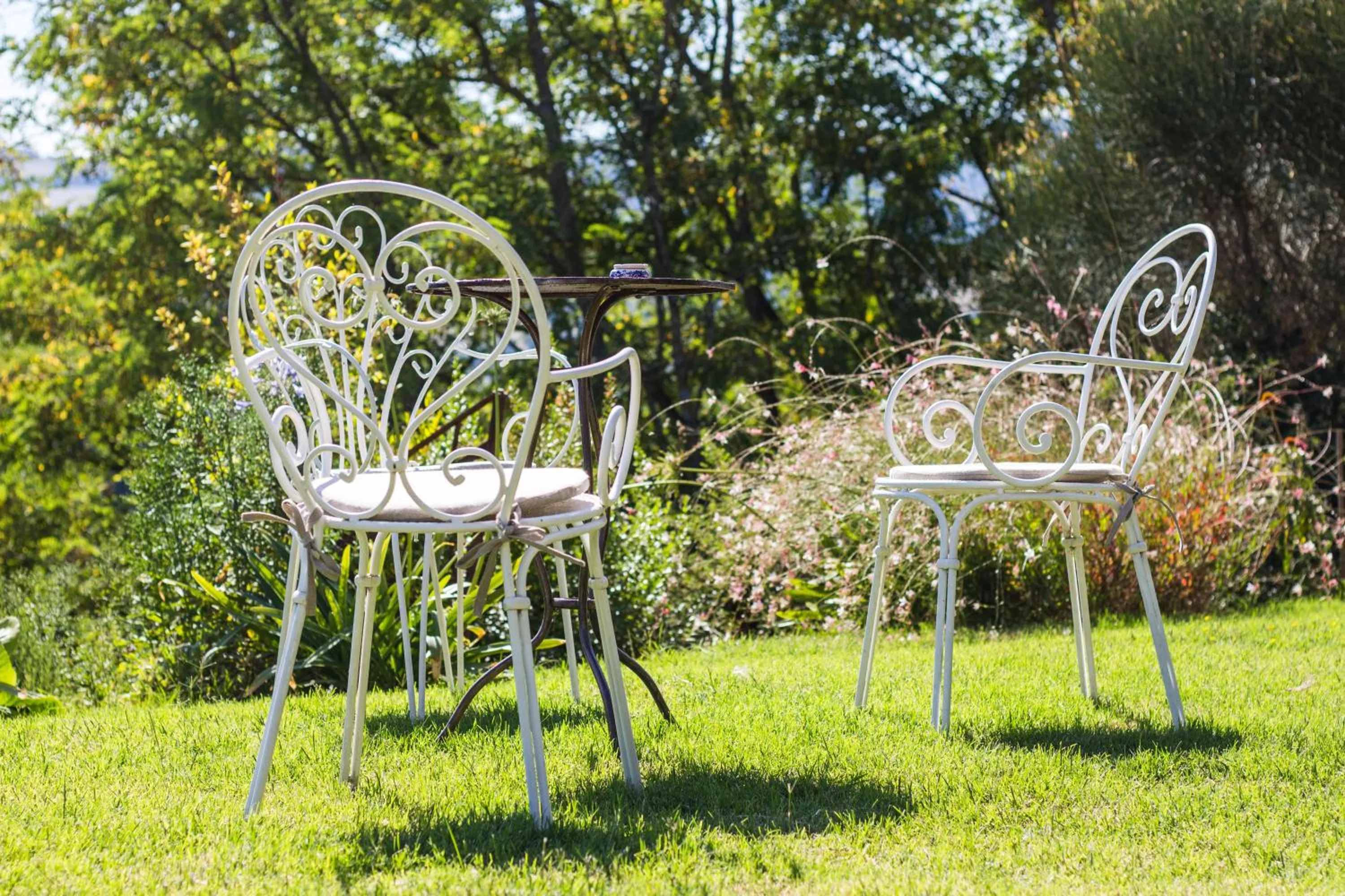 Garden in Poggio Dei Prugnoli