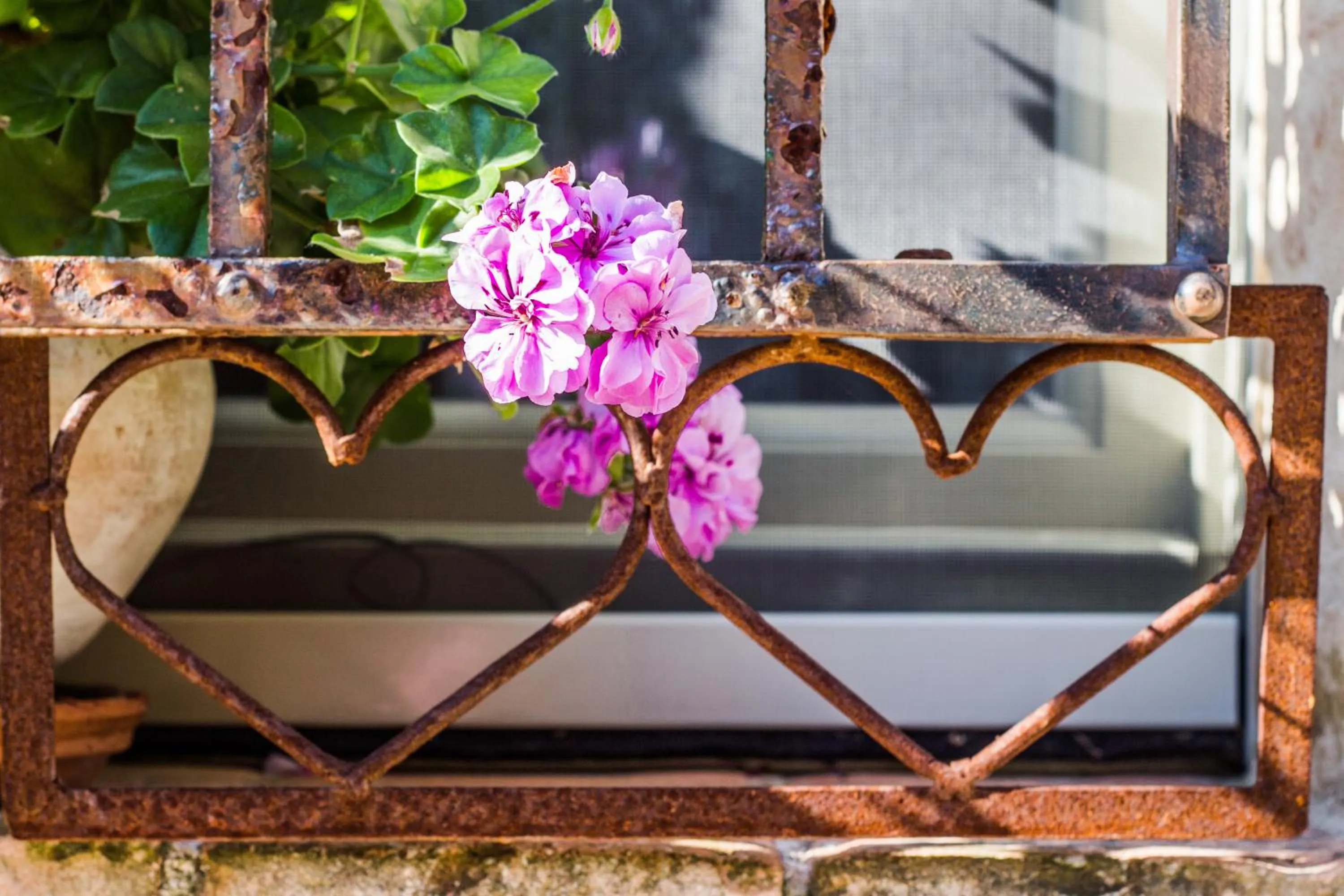 Decorative detail in Poggio Dei Prugnoli