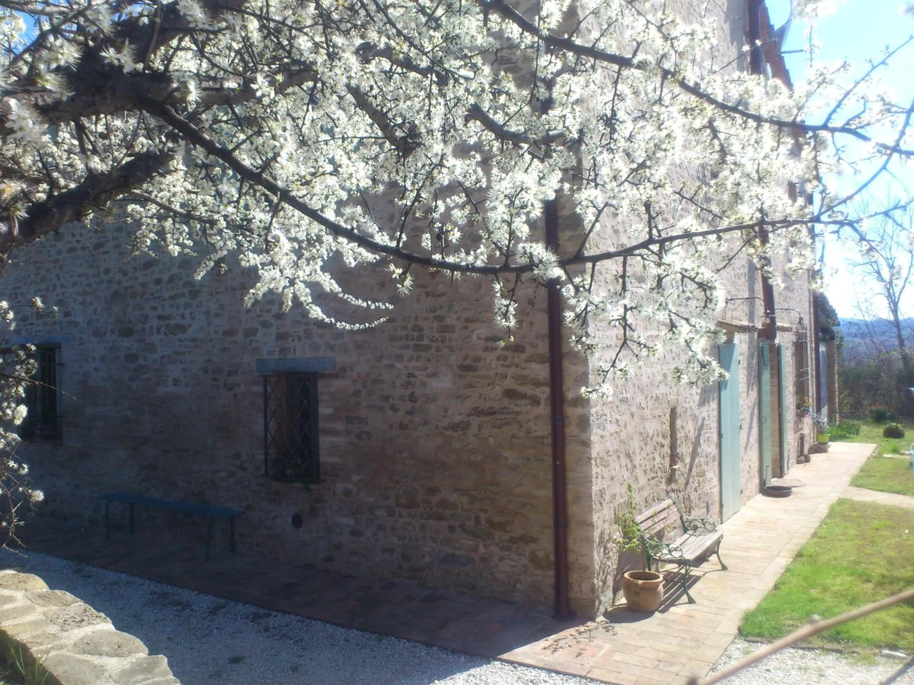 Property building in Poggio Dei Prugnoli