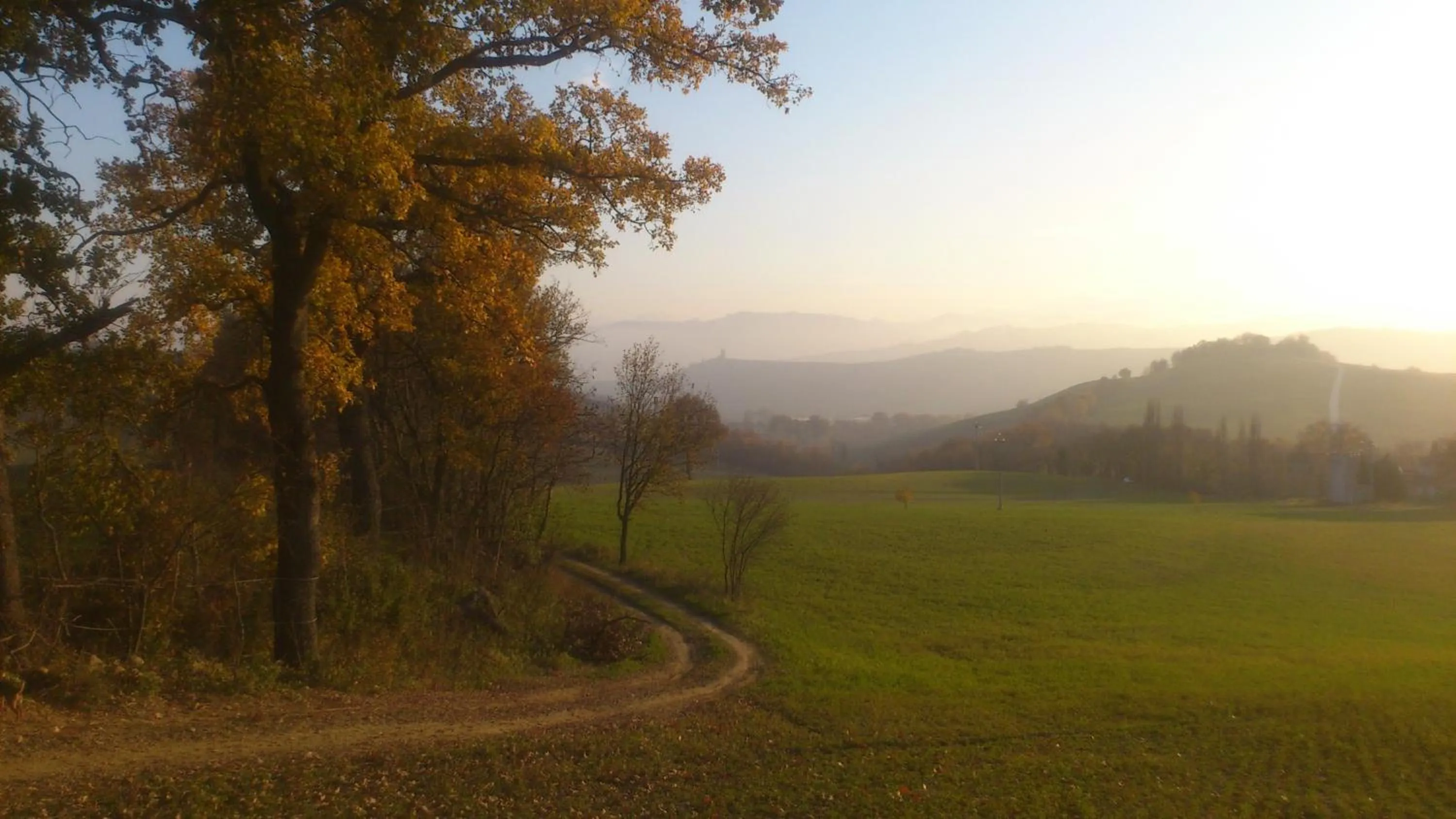 Other in Poggio Dei Prugnoli
