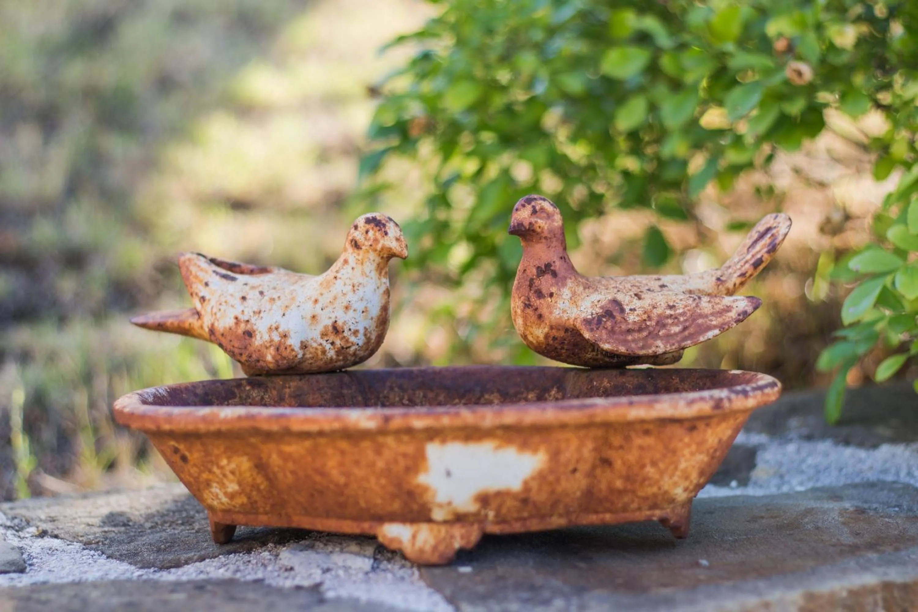 Garden in Poggio Dei Prugnoli