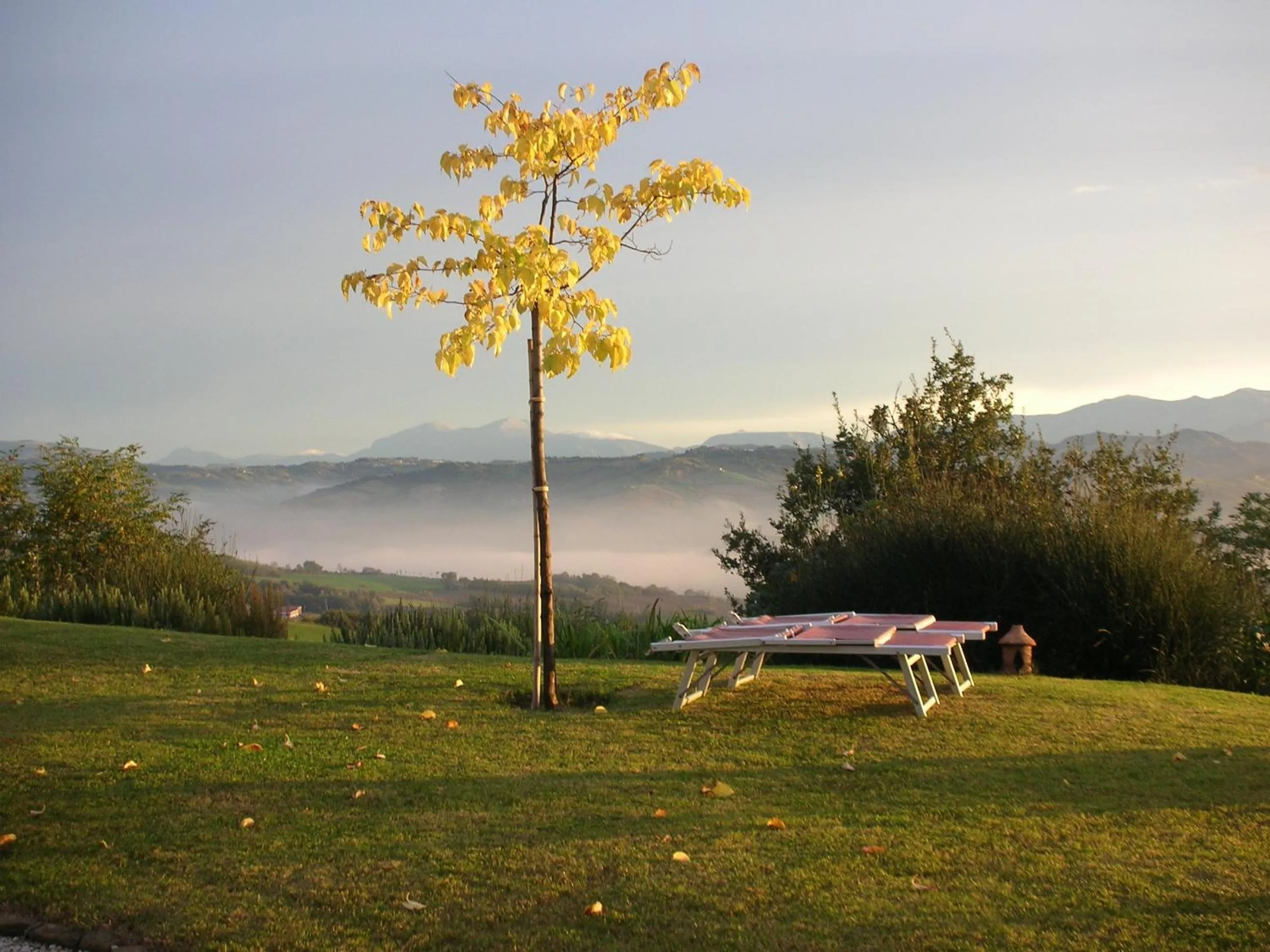 Garden in Poggio Dei Prugnoli