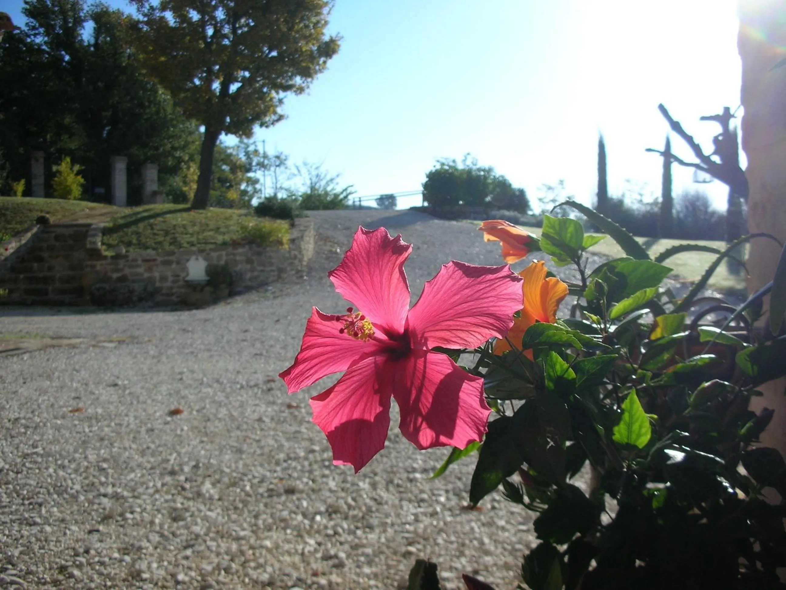 Garden in Poggio Dei Prugnoli