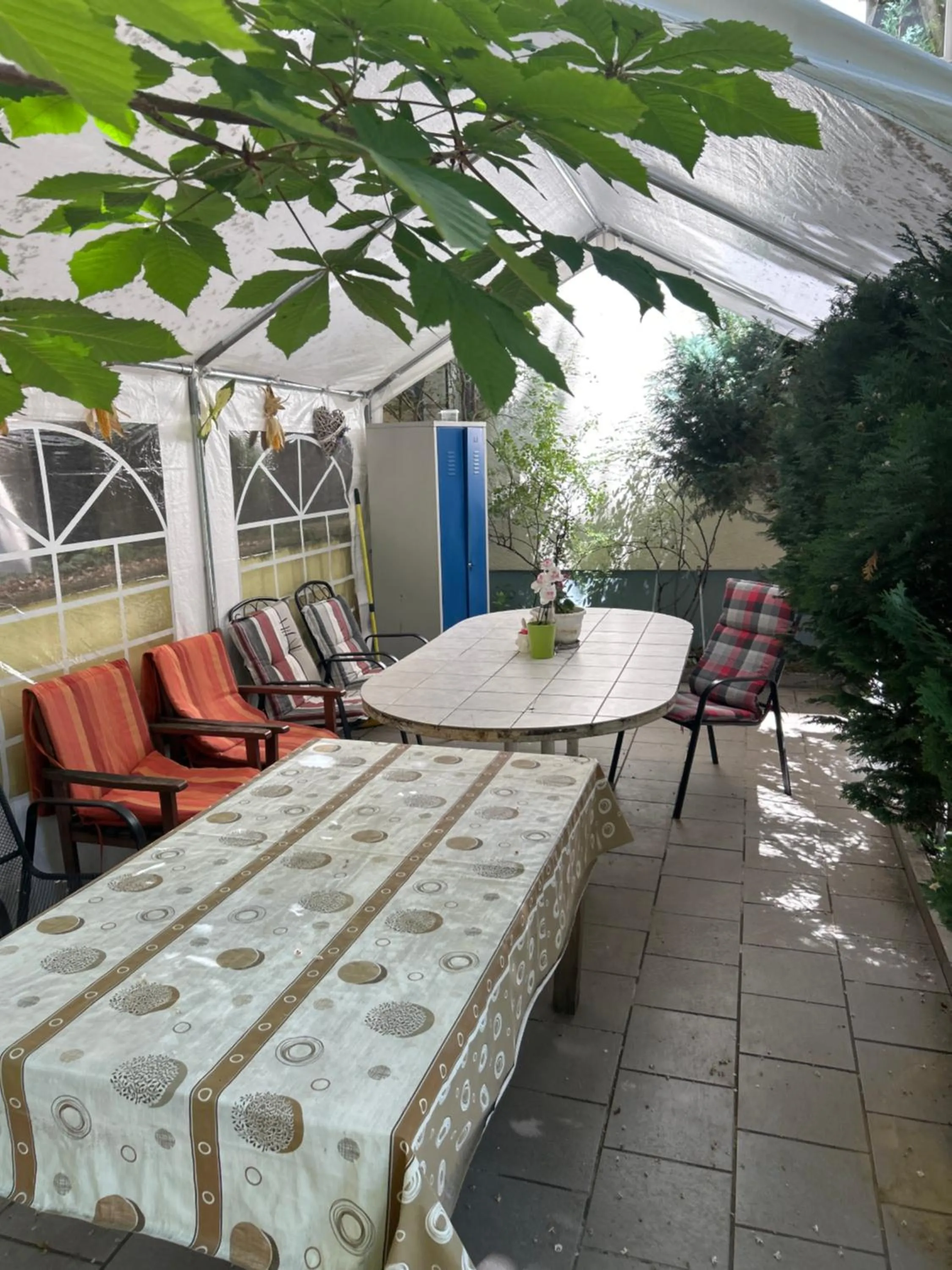 Garden view in Hotel Pension Haydn