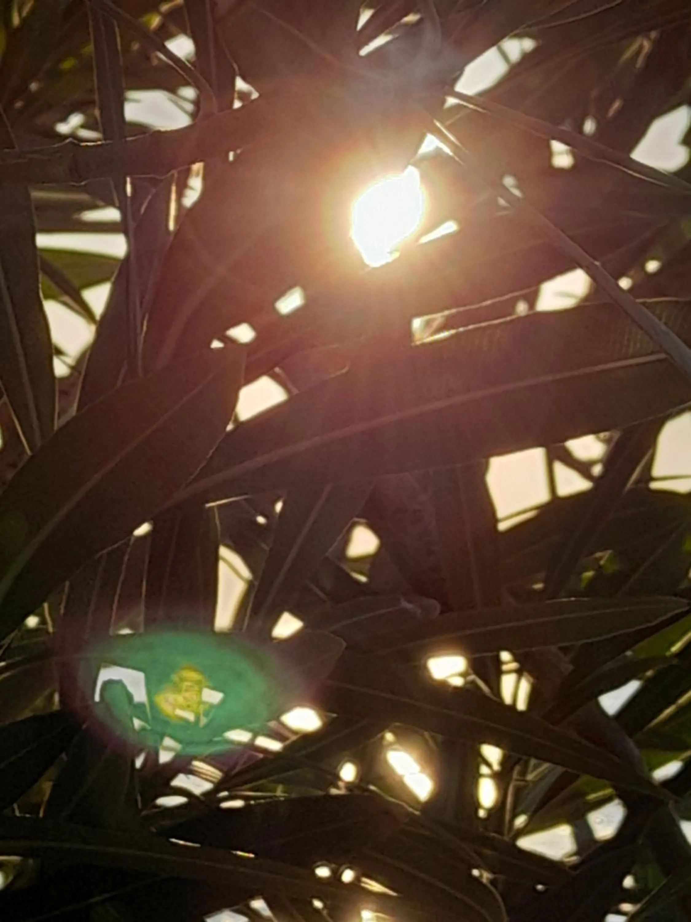 Natural landscape in Luna Piena Hotel
