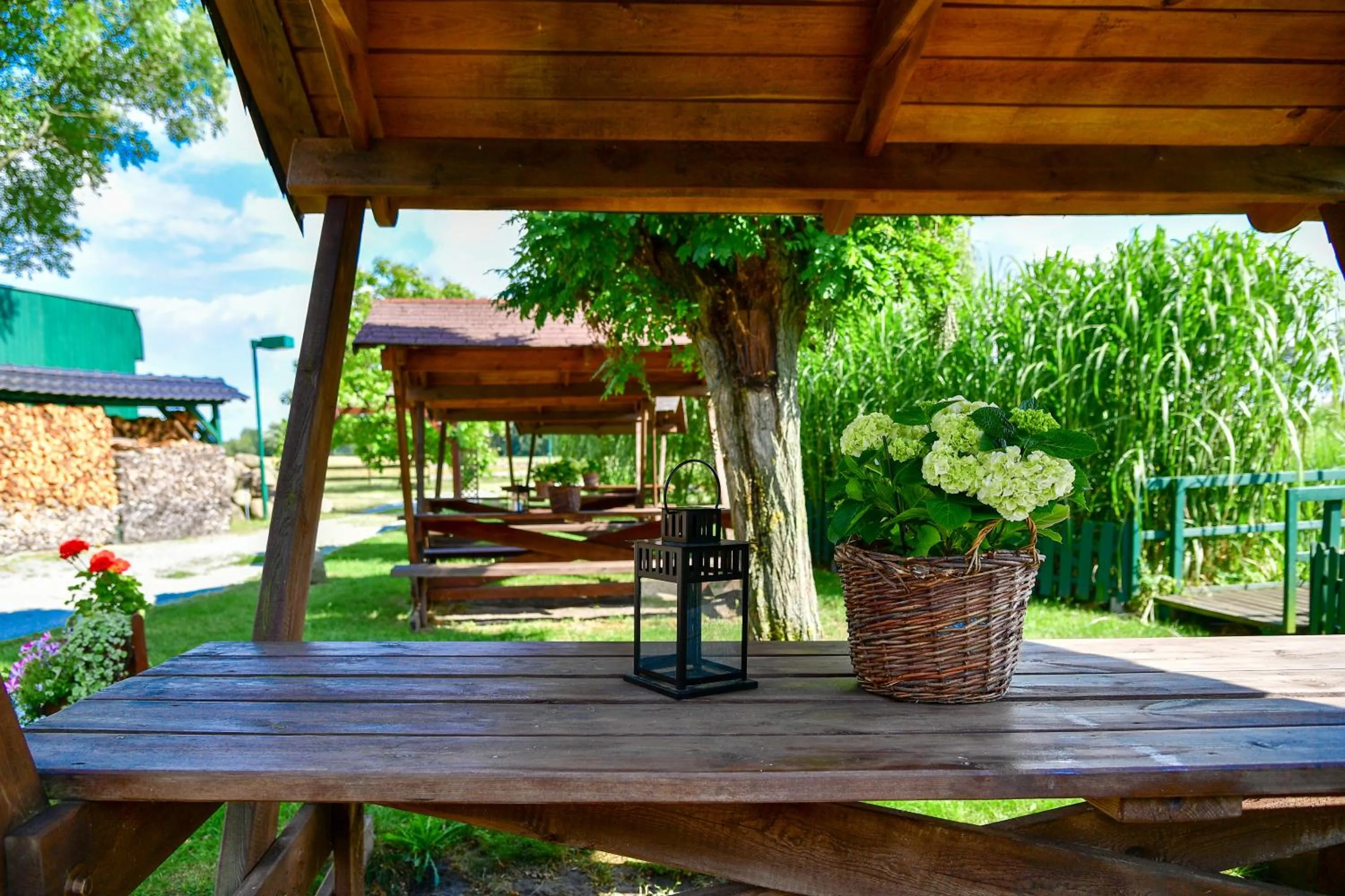 Garden in Christinenhof & Spa - Wellnesshotel am Rande des Spreewalds