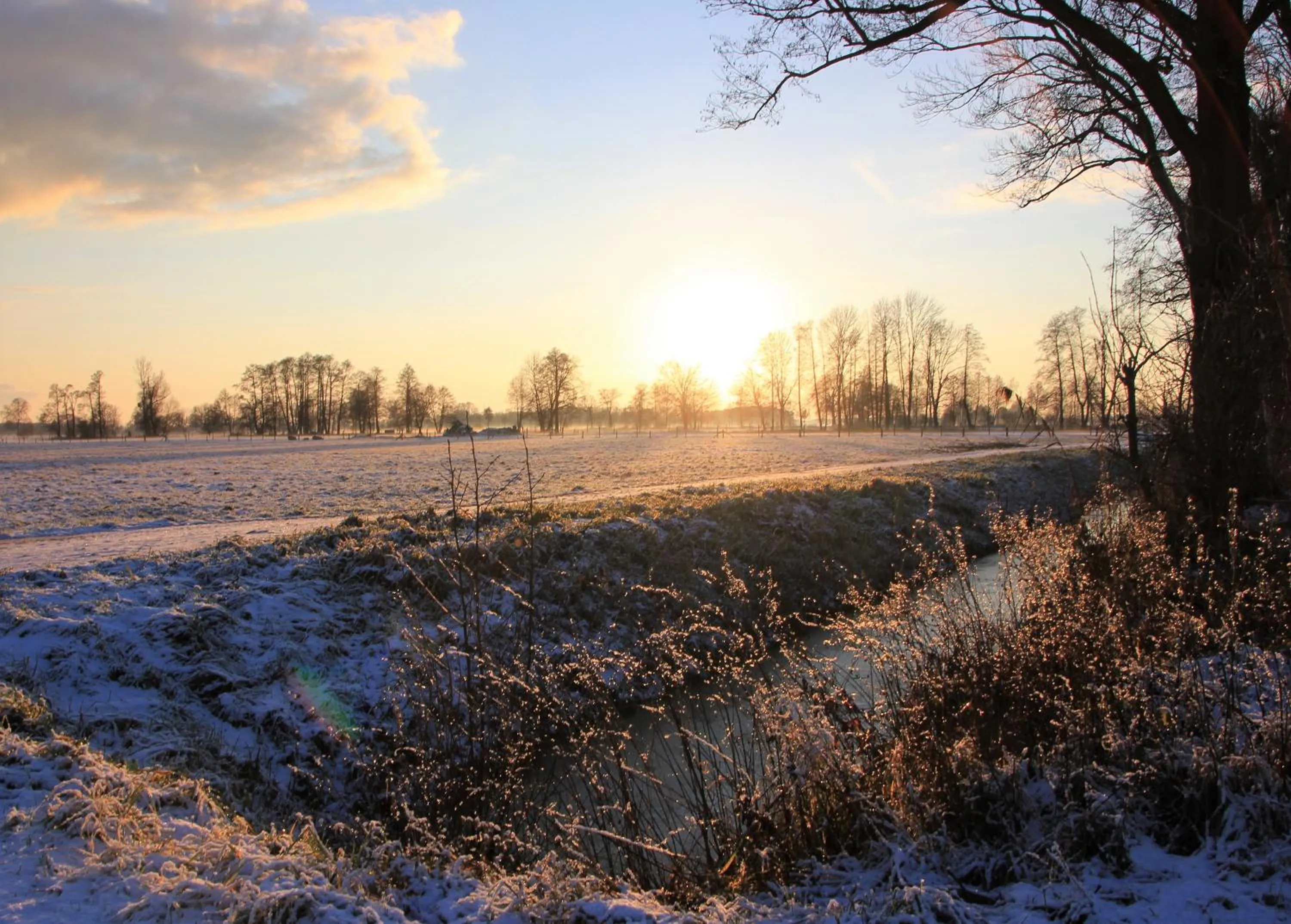Natural landscape in Christinenhof & Spa - Wellnesshotel am Rande des Spreewalds