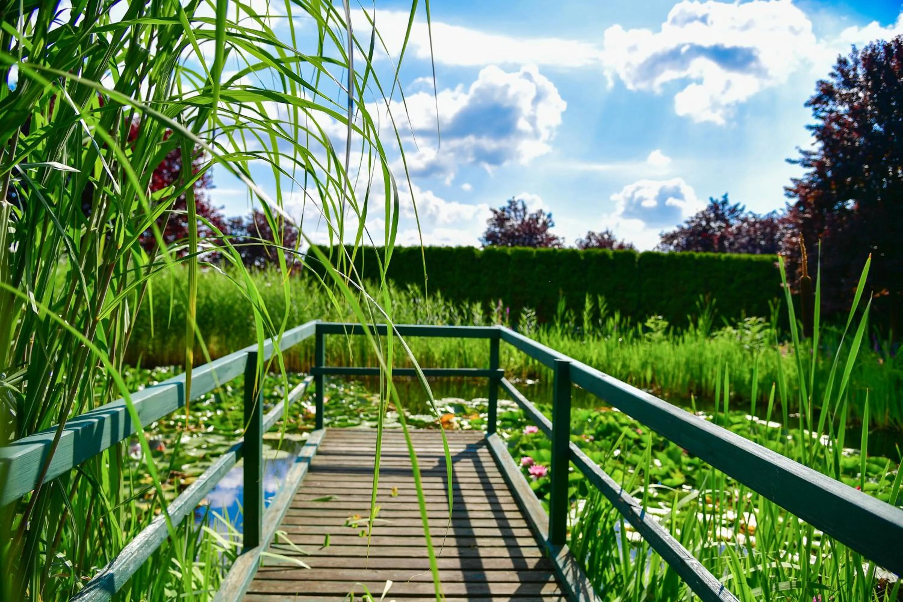 Garden in Christinenhof & Spa - Wellnesshotel am Rande des Spreewalds