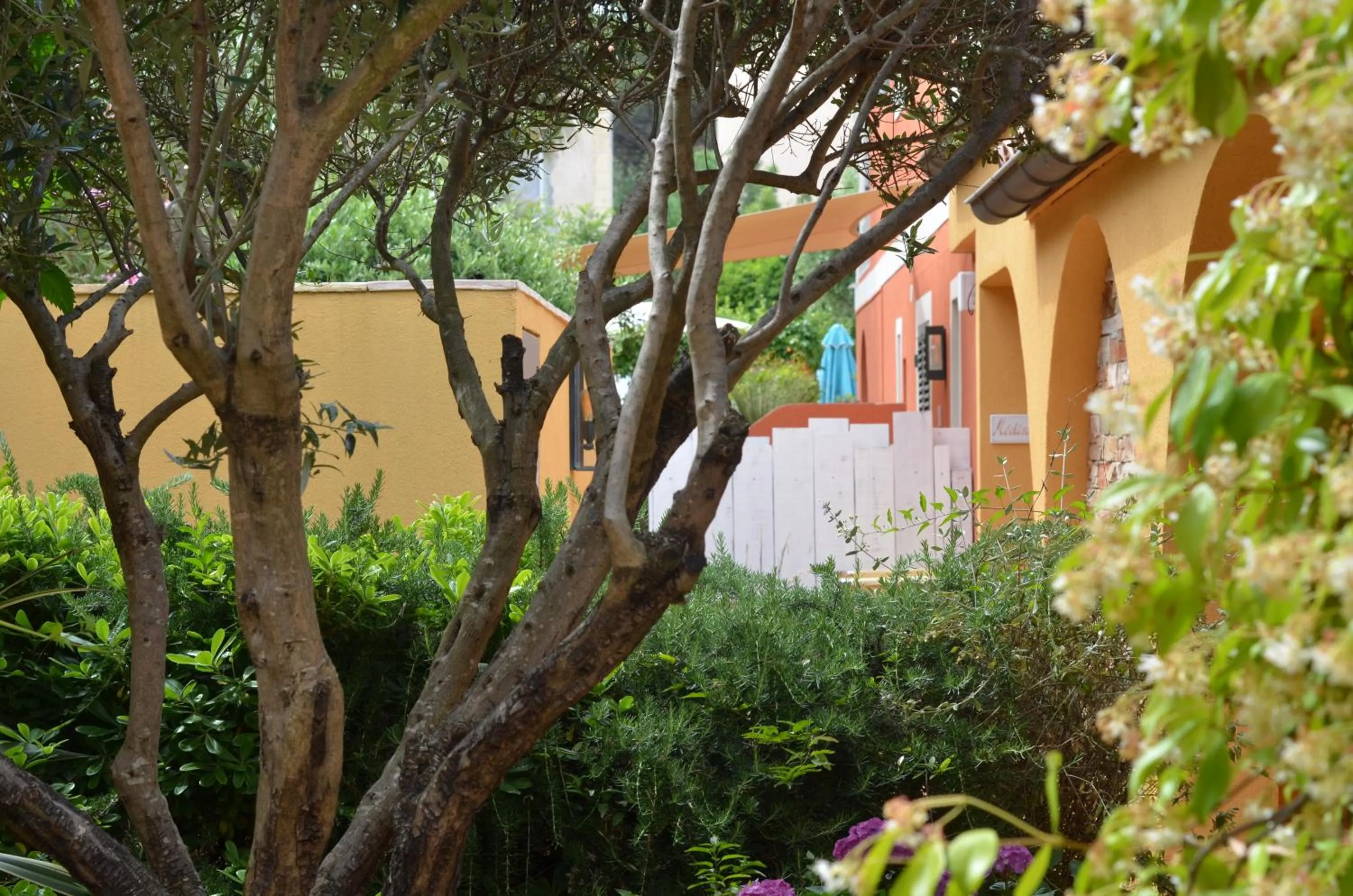 Garden in Le Mouillage