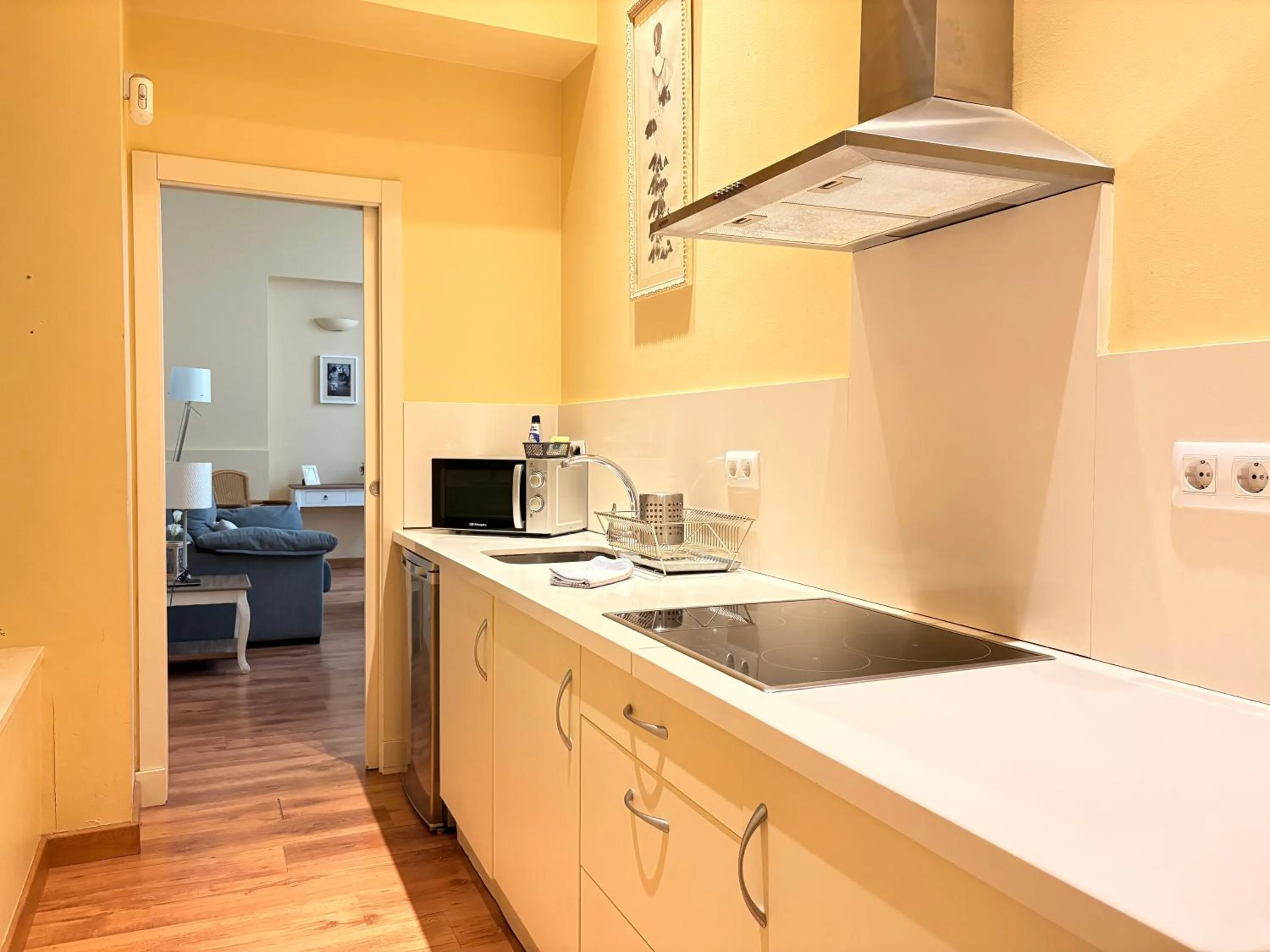 stove in Life Apartments San Vicente