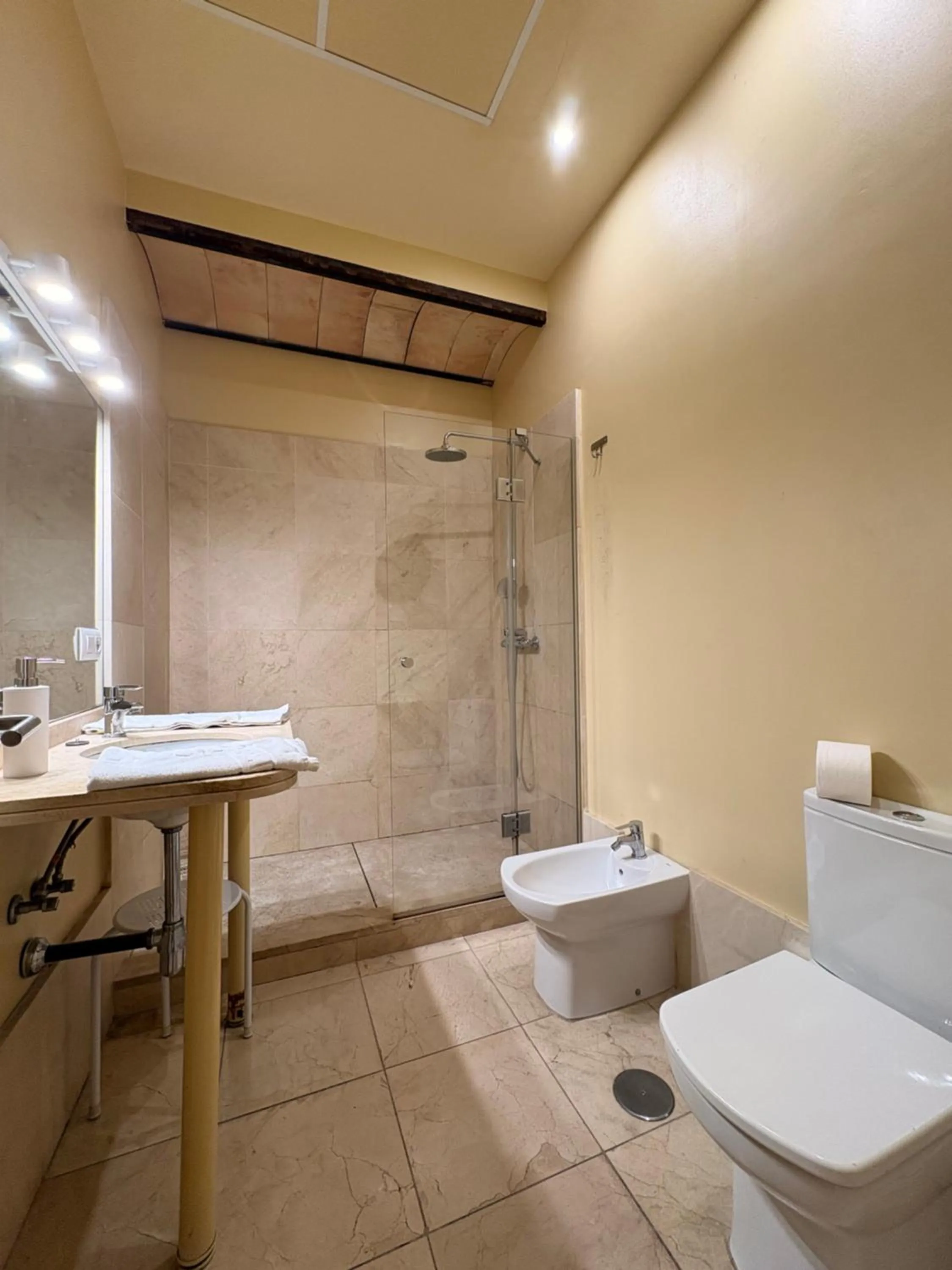 Toilet in Life Apartments San Vicente