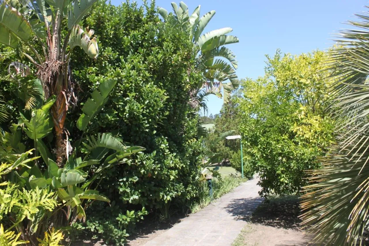 Natural landscape in Thornycroft Lodge