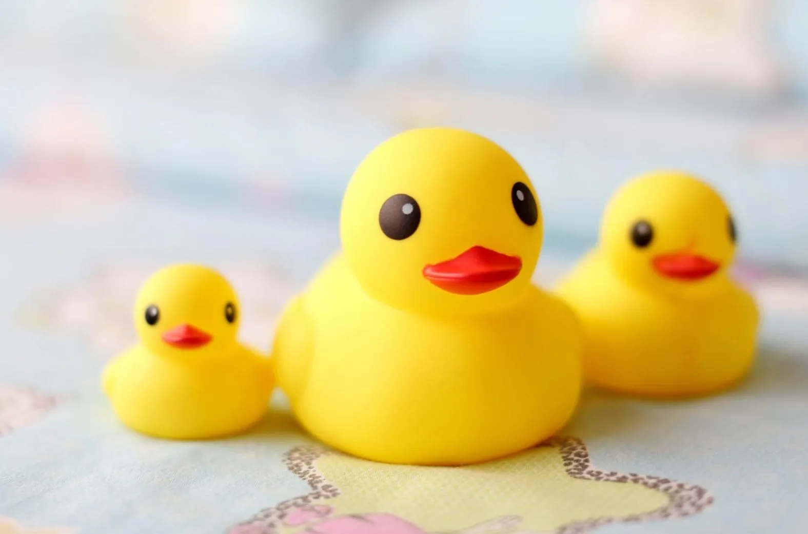 children in Marco Polo Xiamen