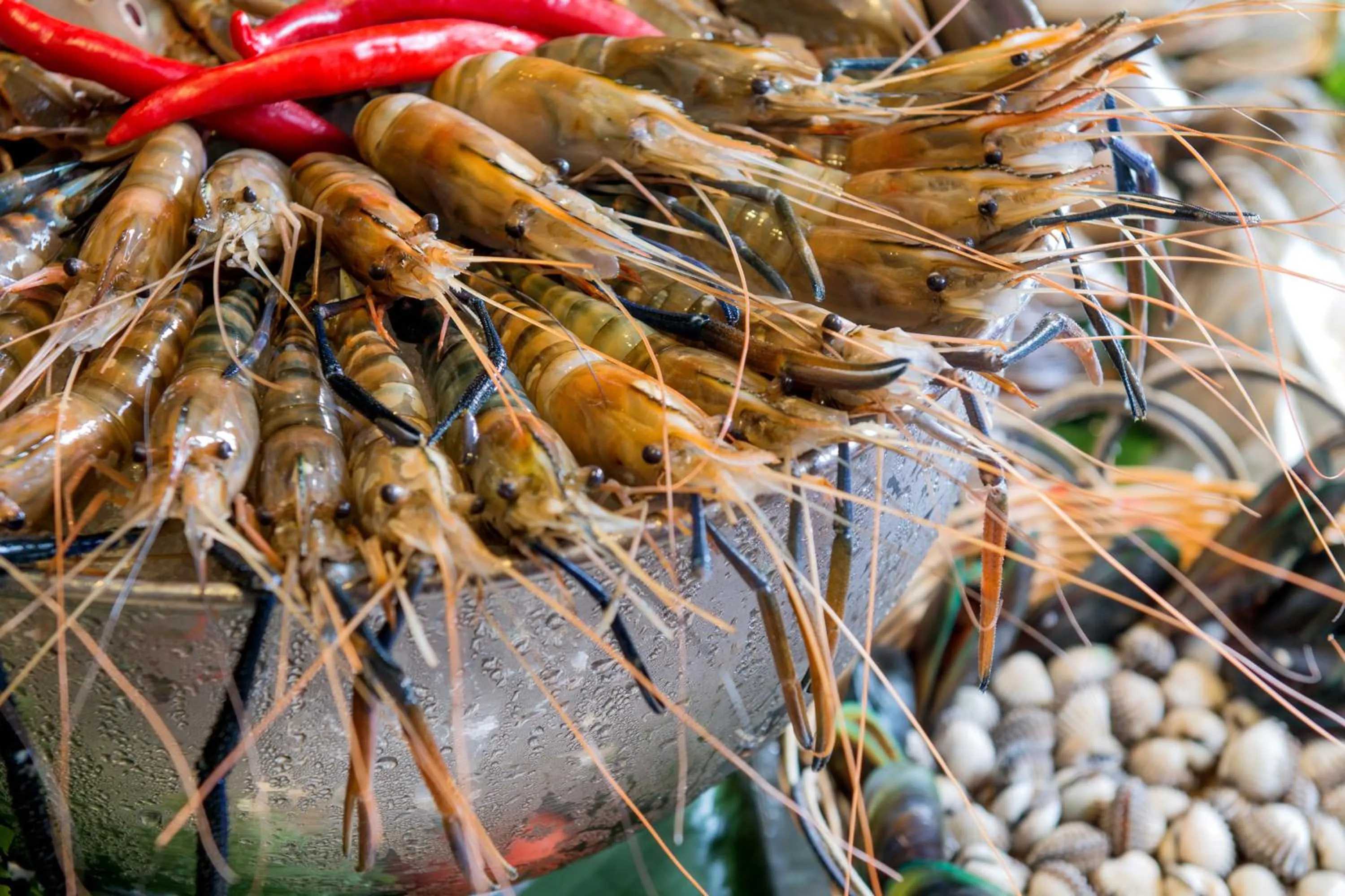 Food in Marco Polo Xiamen