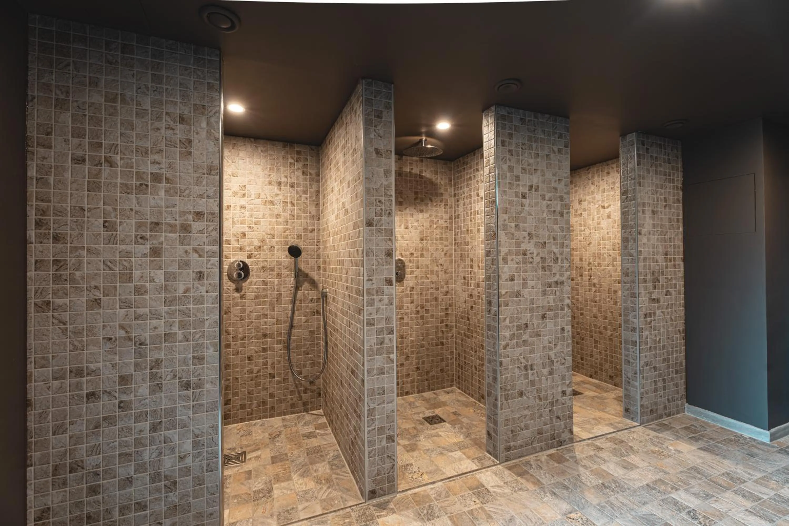 Shower in Naturhotel Sachsenbaude Oberwiesenthal - Indoor-Pool & Outdoor-Whirlpool