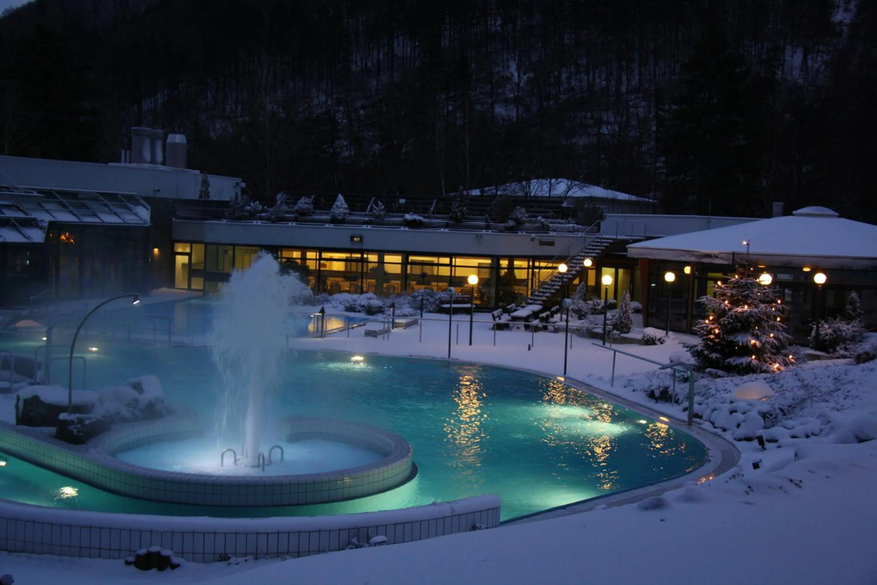 Swimming pool in Solehotel Winterberg