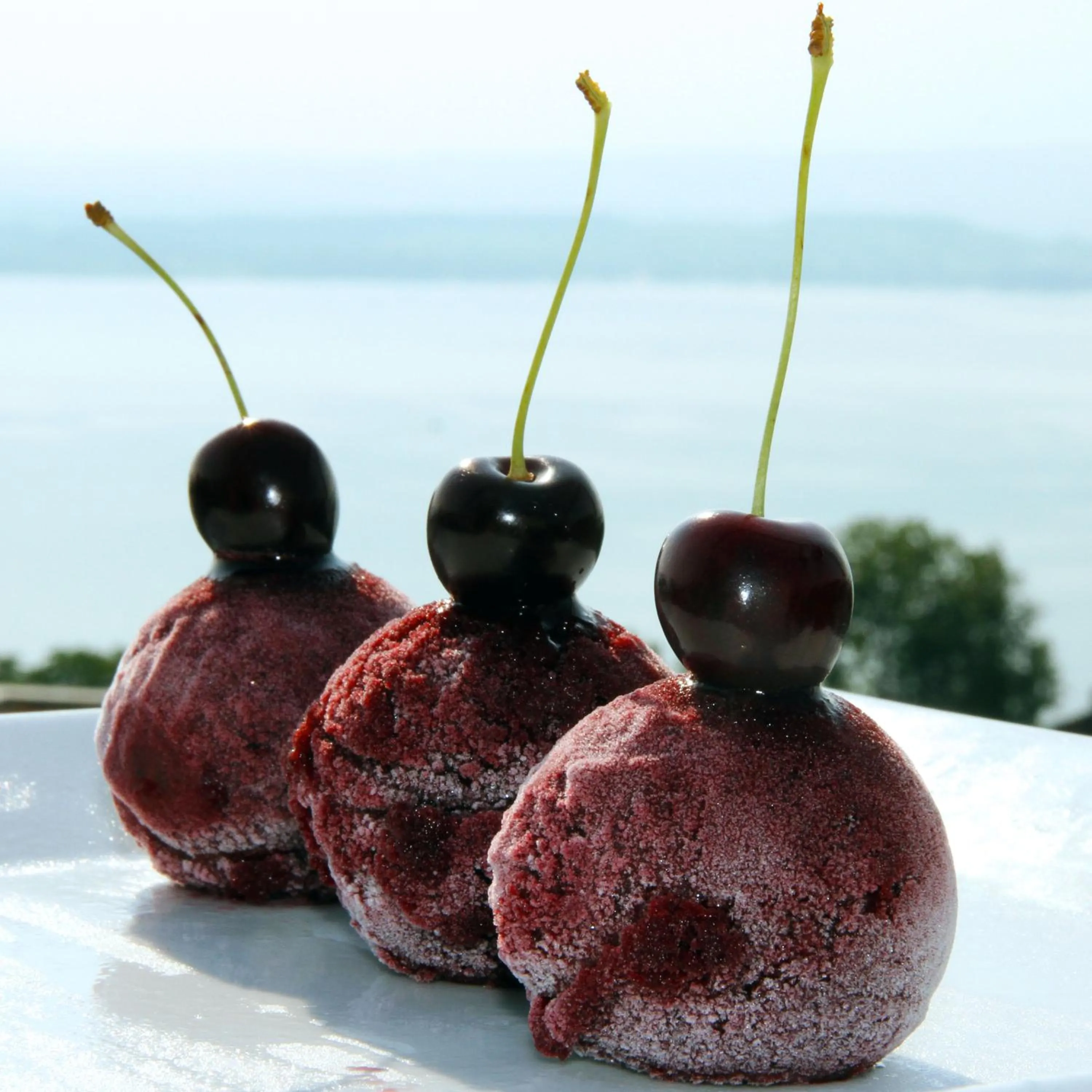 Food and drinks in Guggital Hotel Restaurant