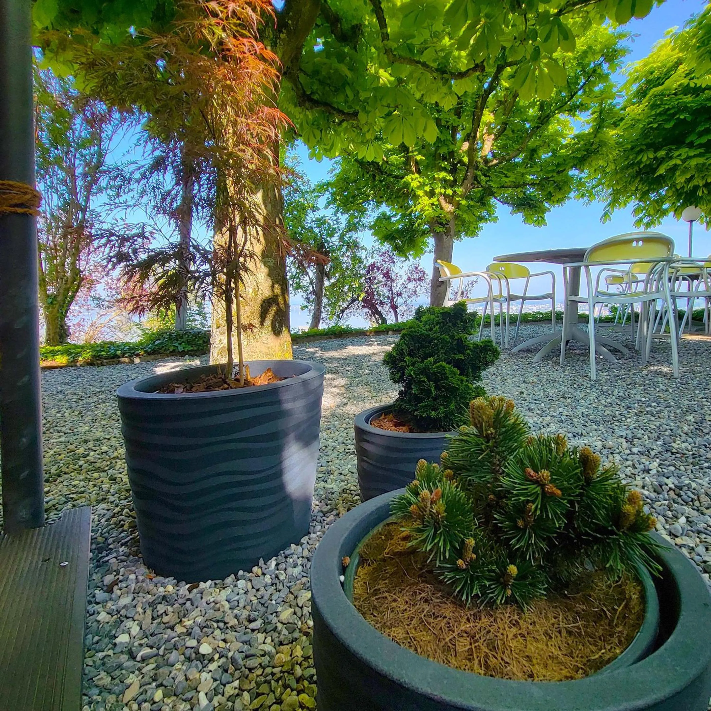 Restaurant/places to eat in Guggital Hotel Restaurant