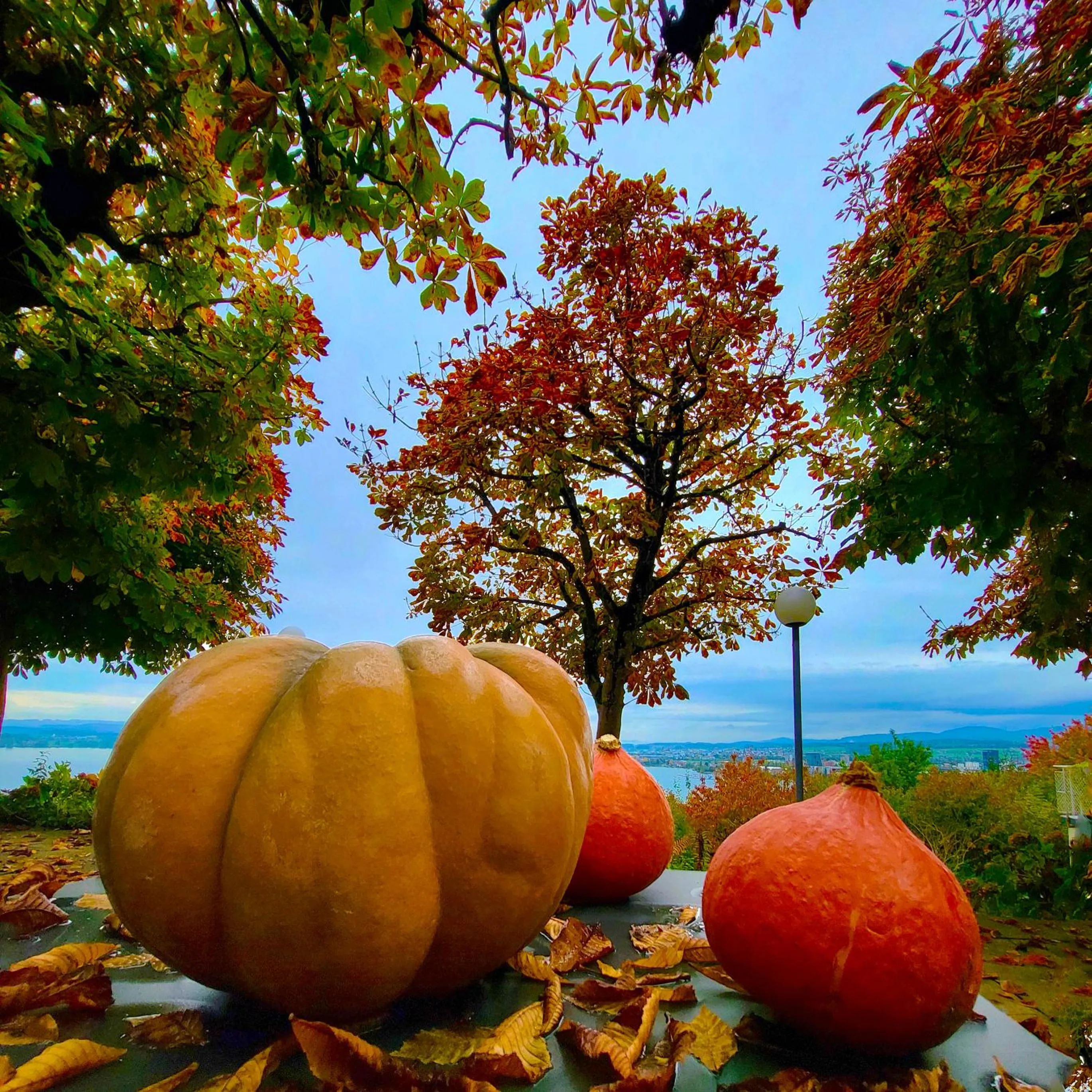 Garden in Guggital Hotel Restaurant