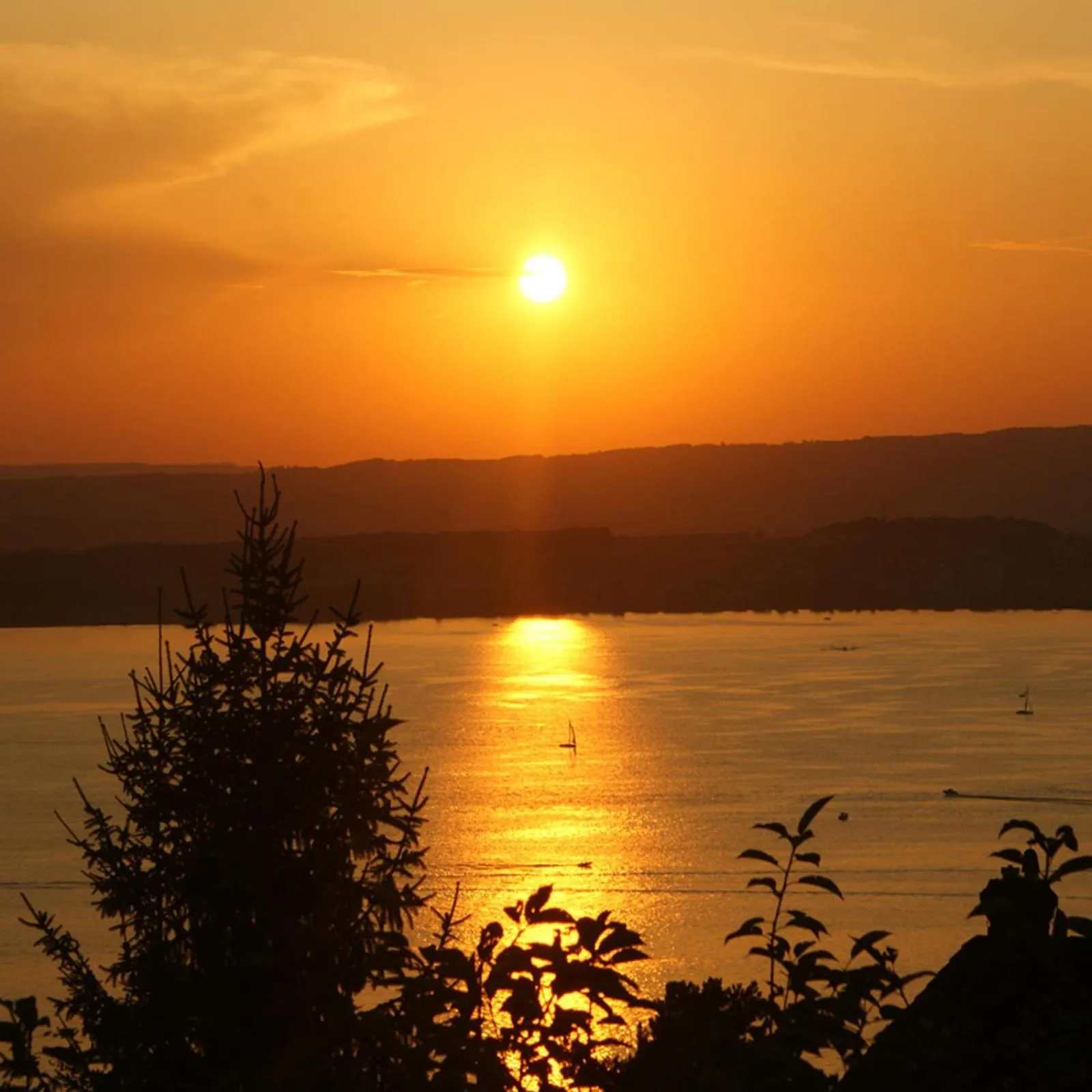 View (from property/room) in Guggital Hotel Restaurant