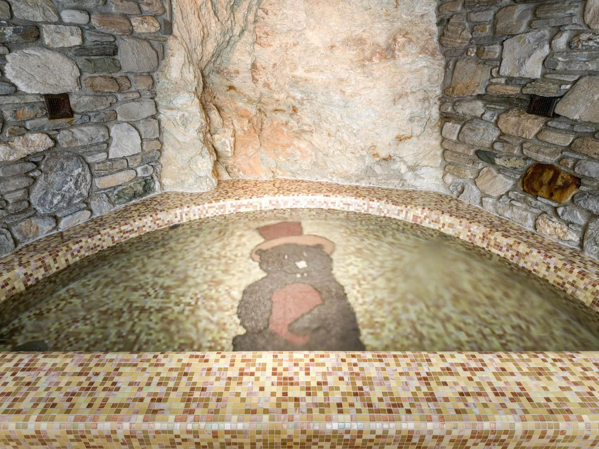 Spa and wellness centre/facilities in Hotel Goldried