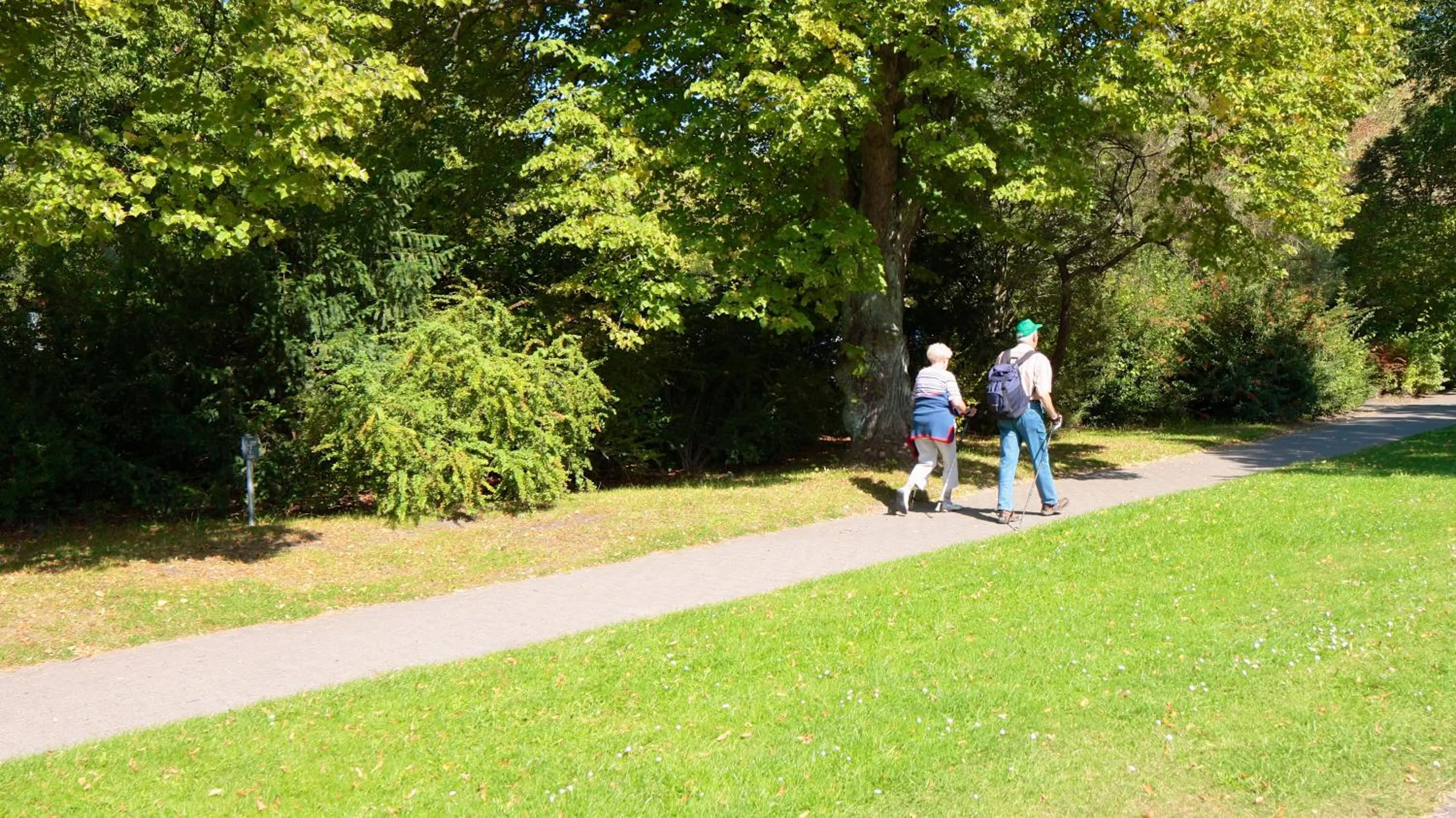 Activities in Ringhotel Fährhaus