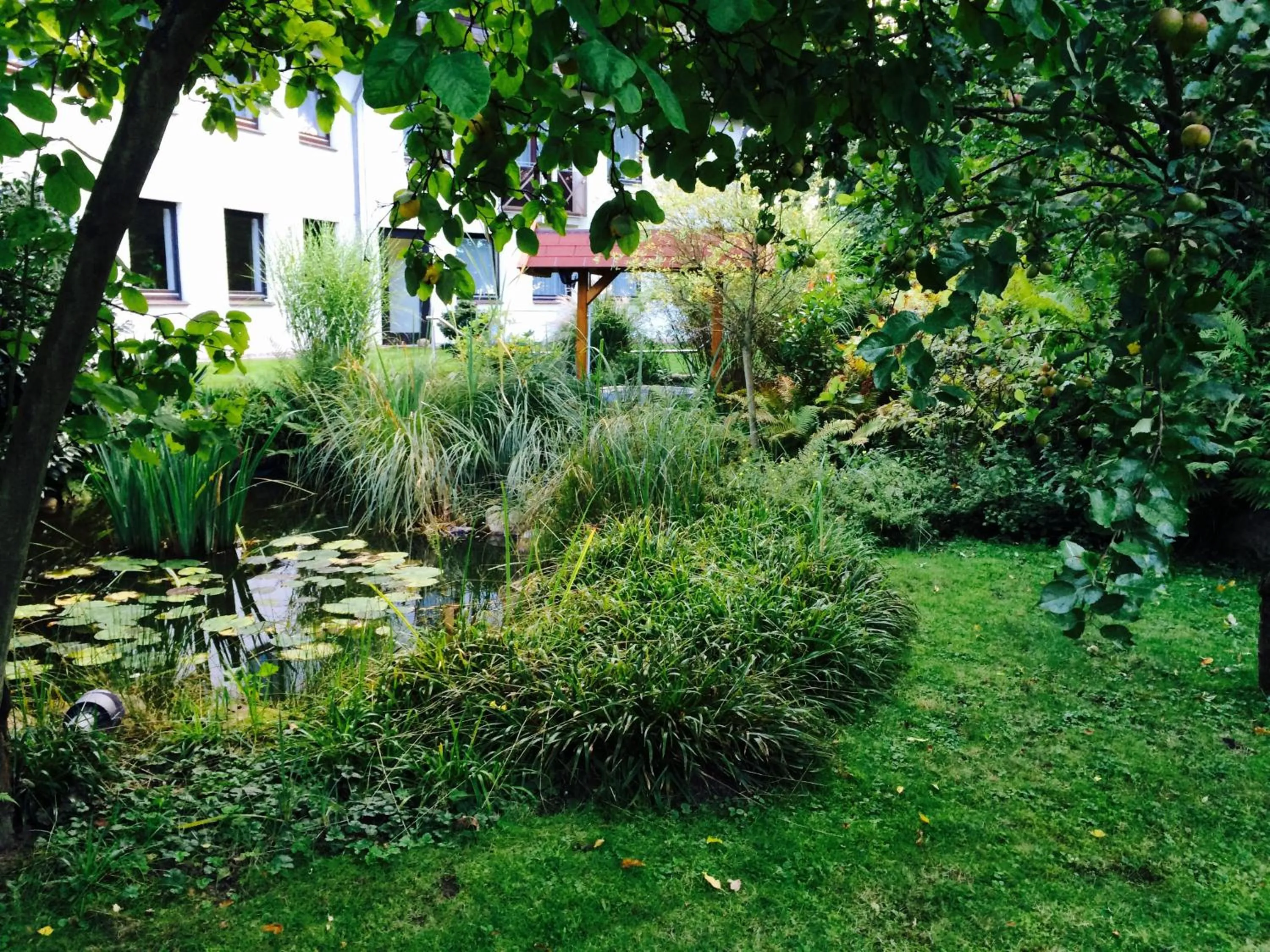 Garden in Ringhotel Fährhaus