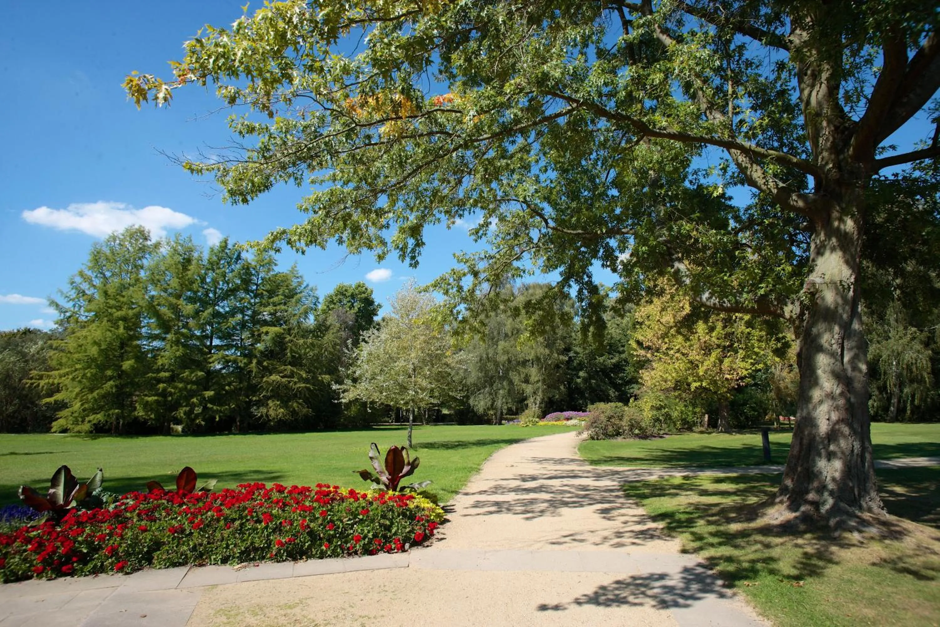 Nearby landmark in Ringhotel Fährhaus