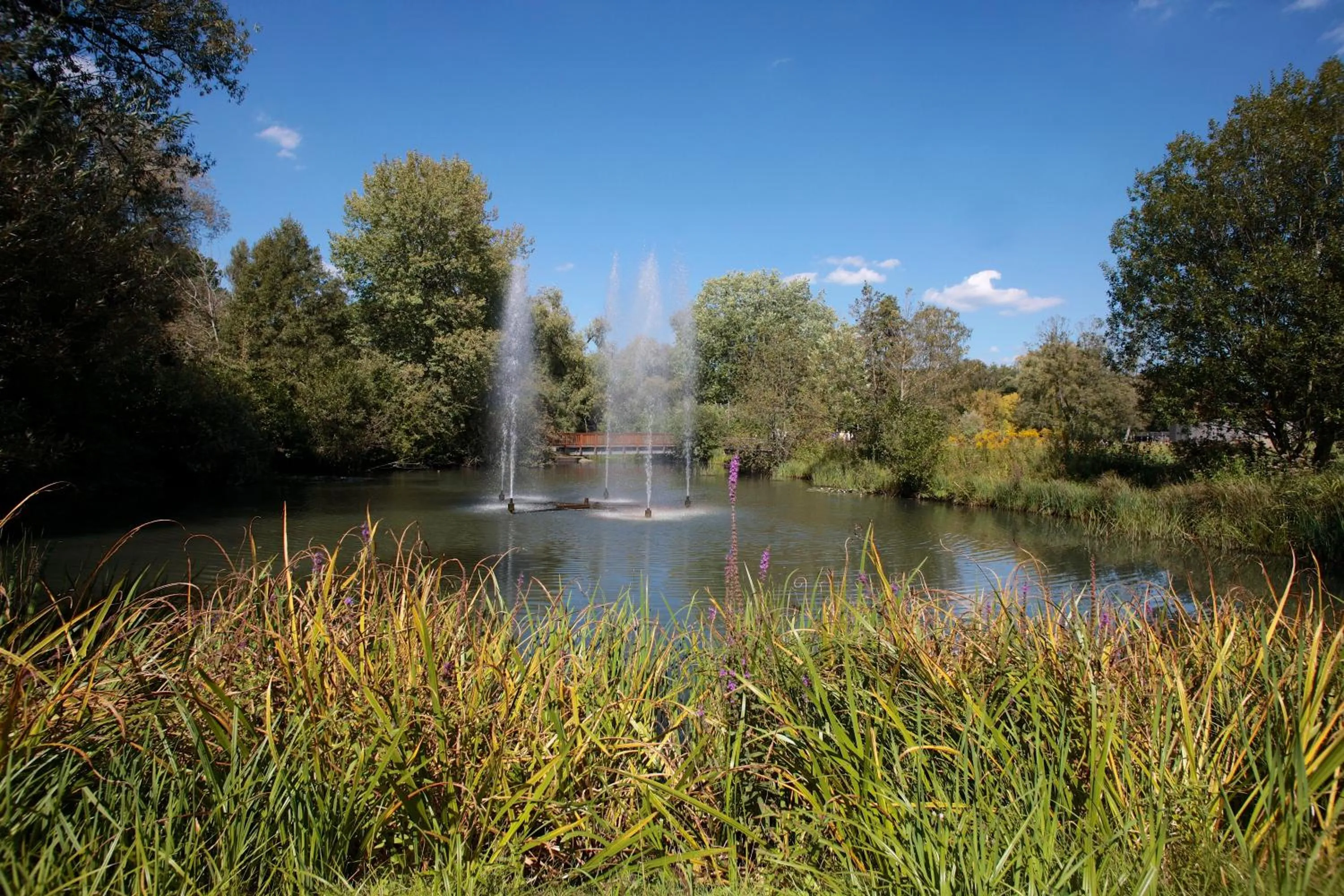 Nearby landmark in Ringhotel Fährhaus