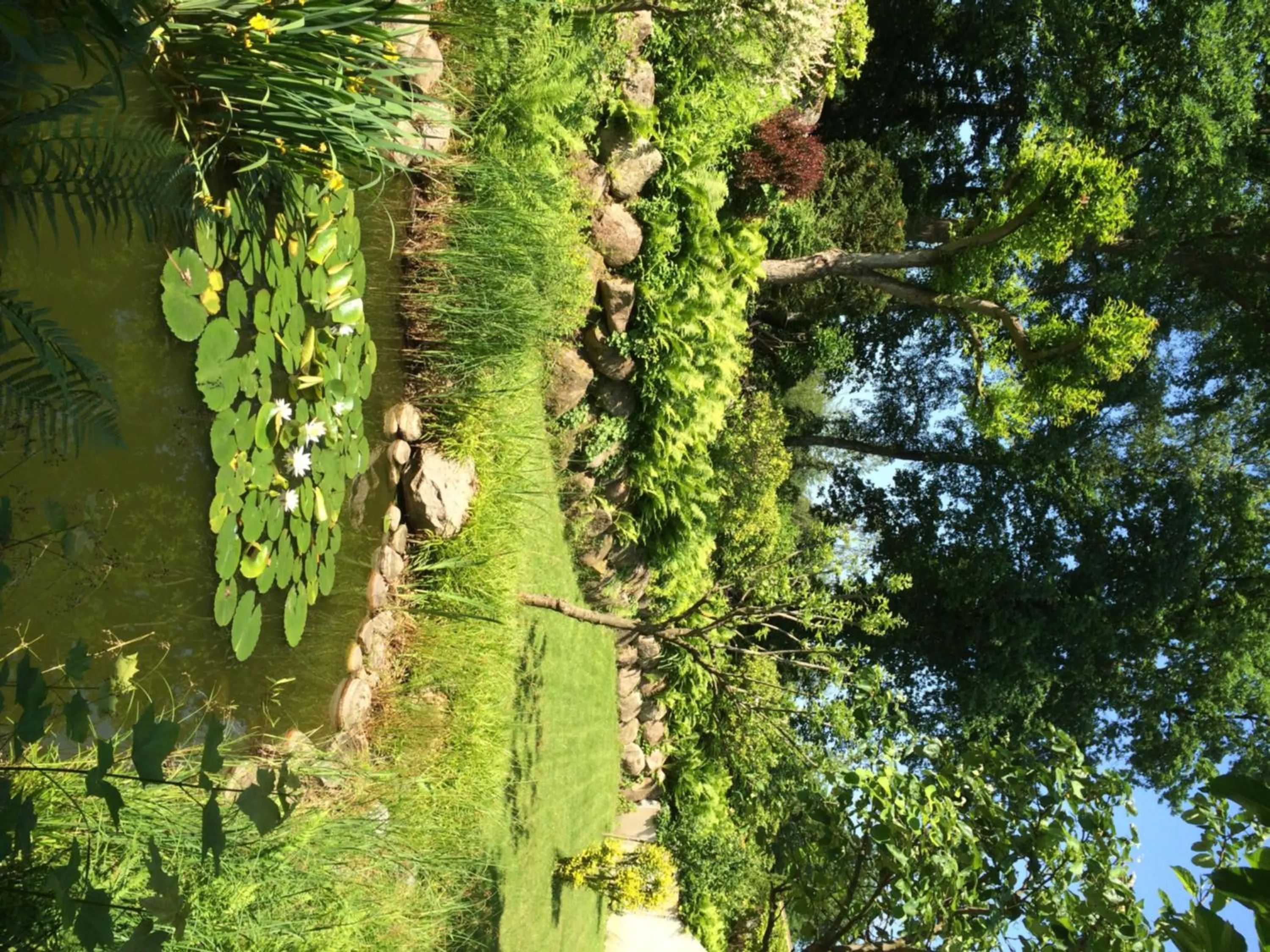 Garden in Ringhotel Fährhaus